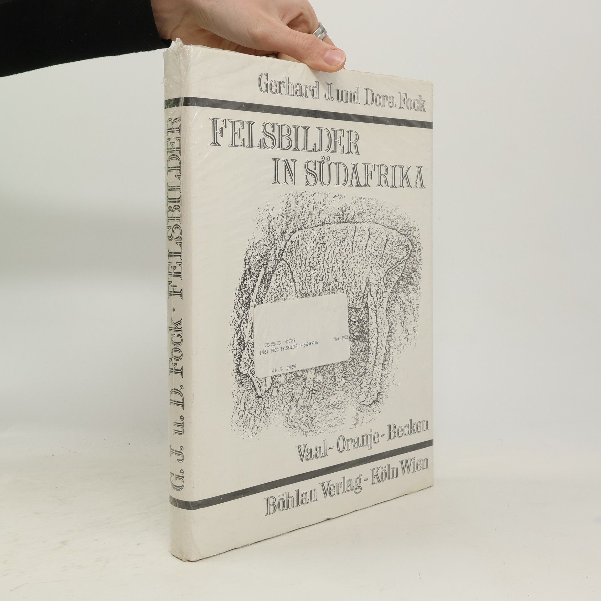 Felsbilder in Südafrika