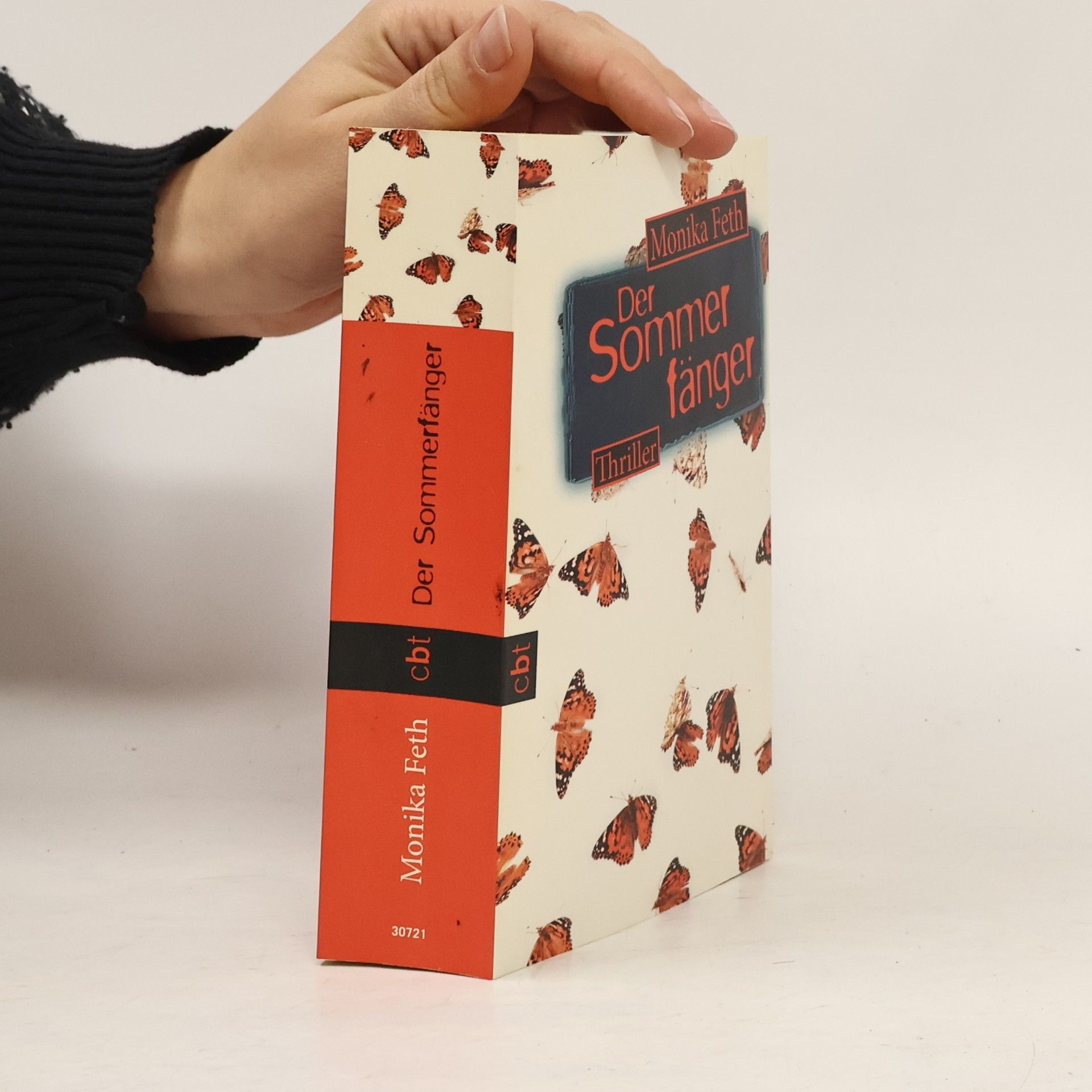 Monika Feth Der Sommerfänger