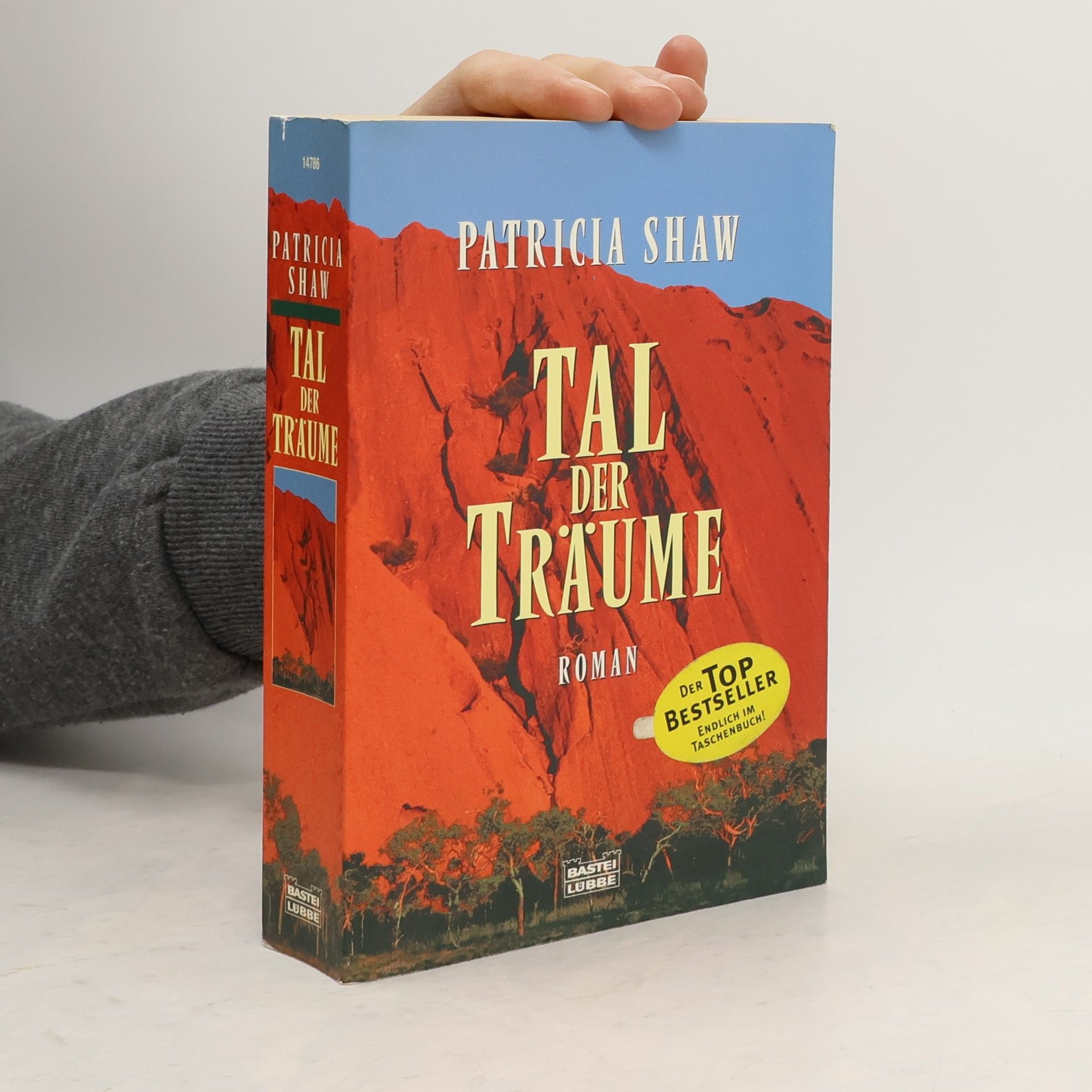 Patricia Shaw Tal der Träume