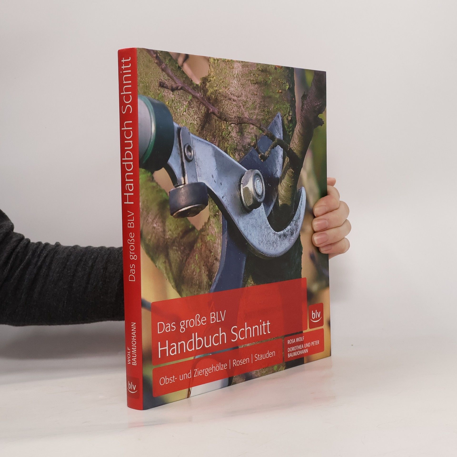 Das große BLV-Handbuch Schnitt