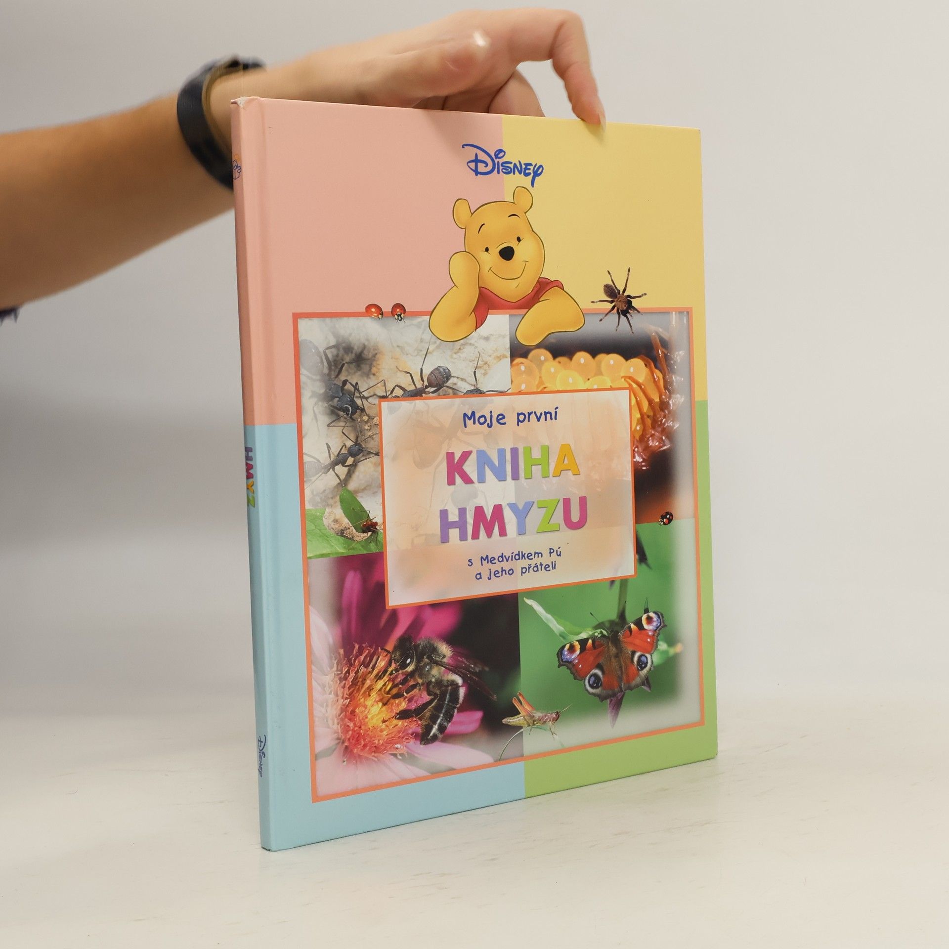 Walt Disney Moje první kniha hmyzu s Medvídkem Pú a jeho přáteli