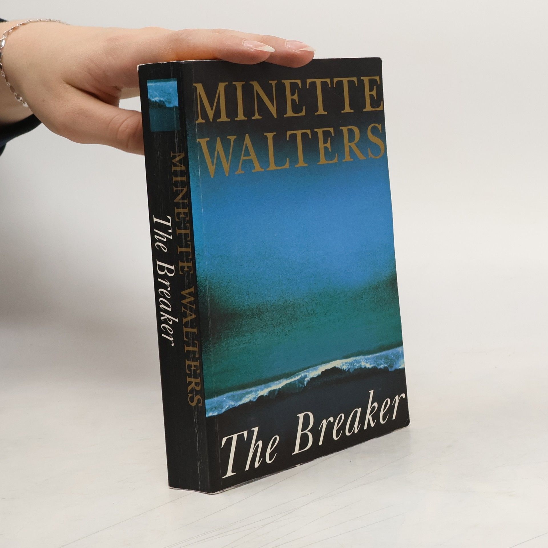 Minette Walters The Breaker