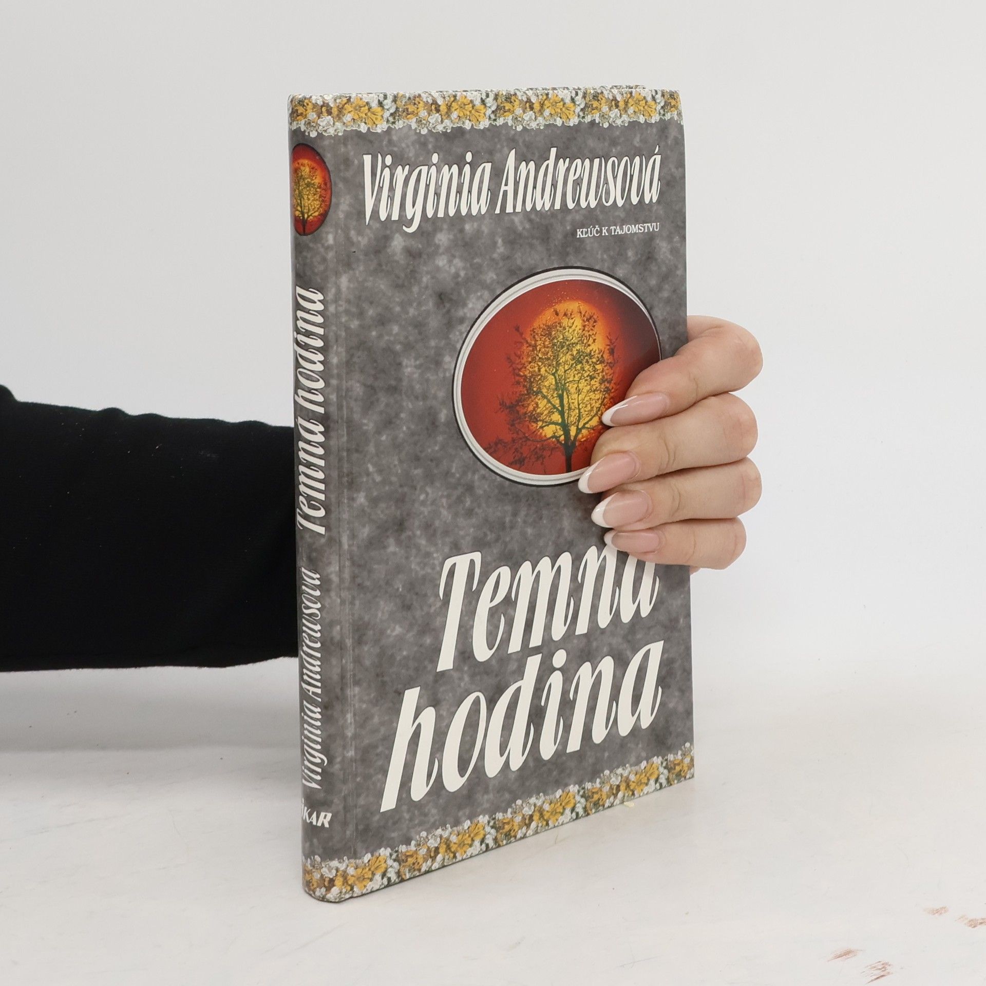 V. C. Andrews Temná hodina