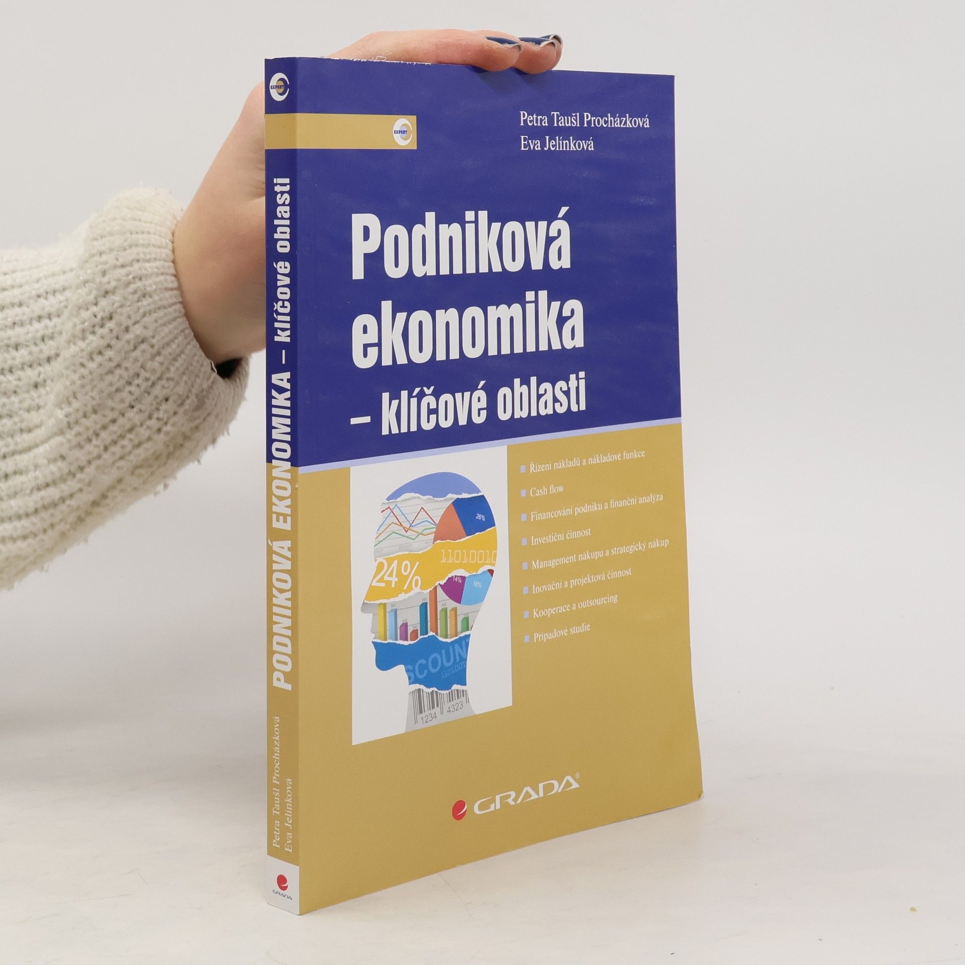 Podniková ekonomika - klíčové oblasti