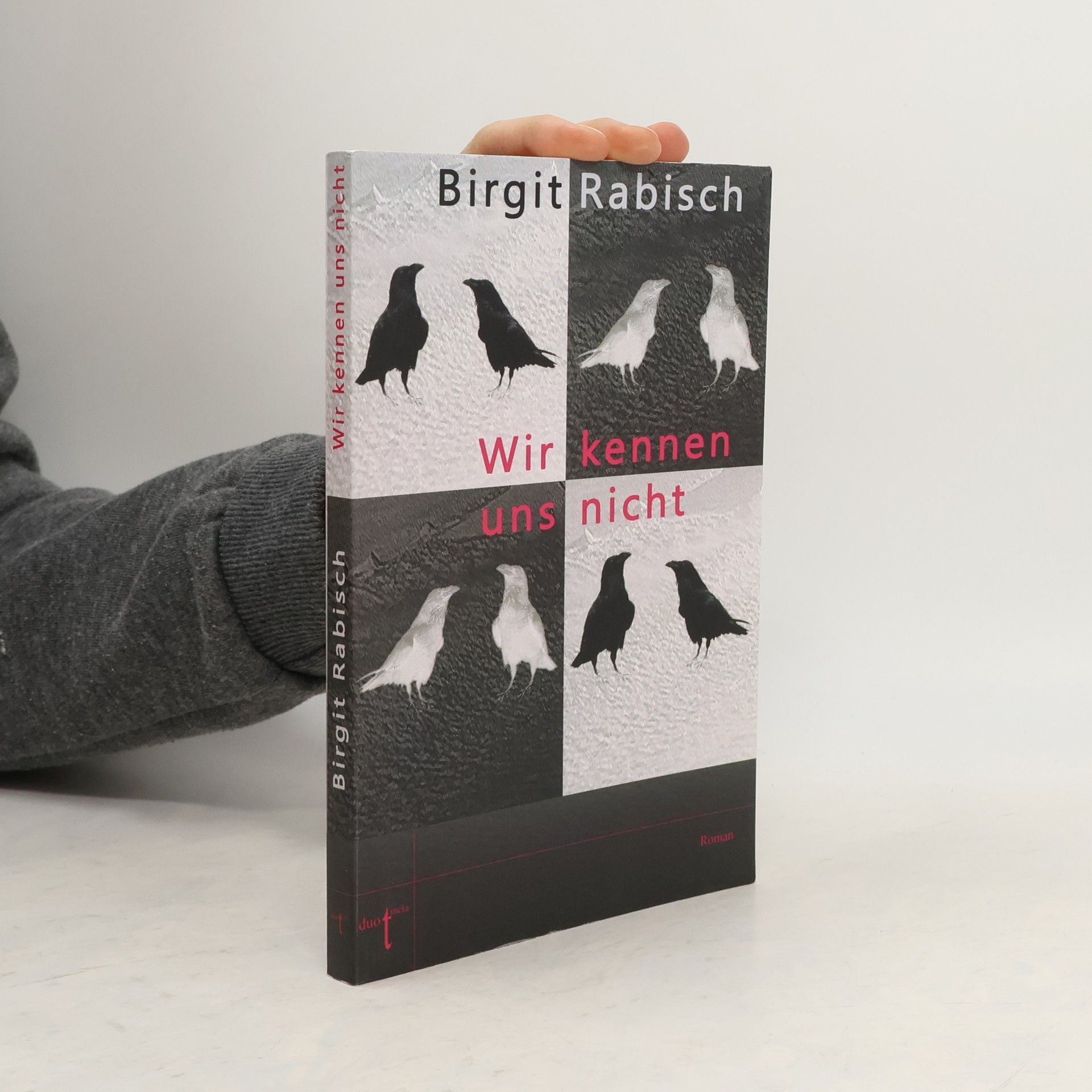 Birgit Rabisch Wir kennen uns nicht