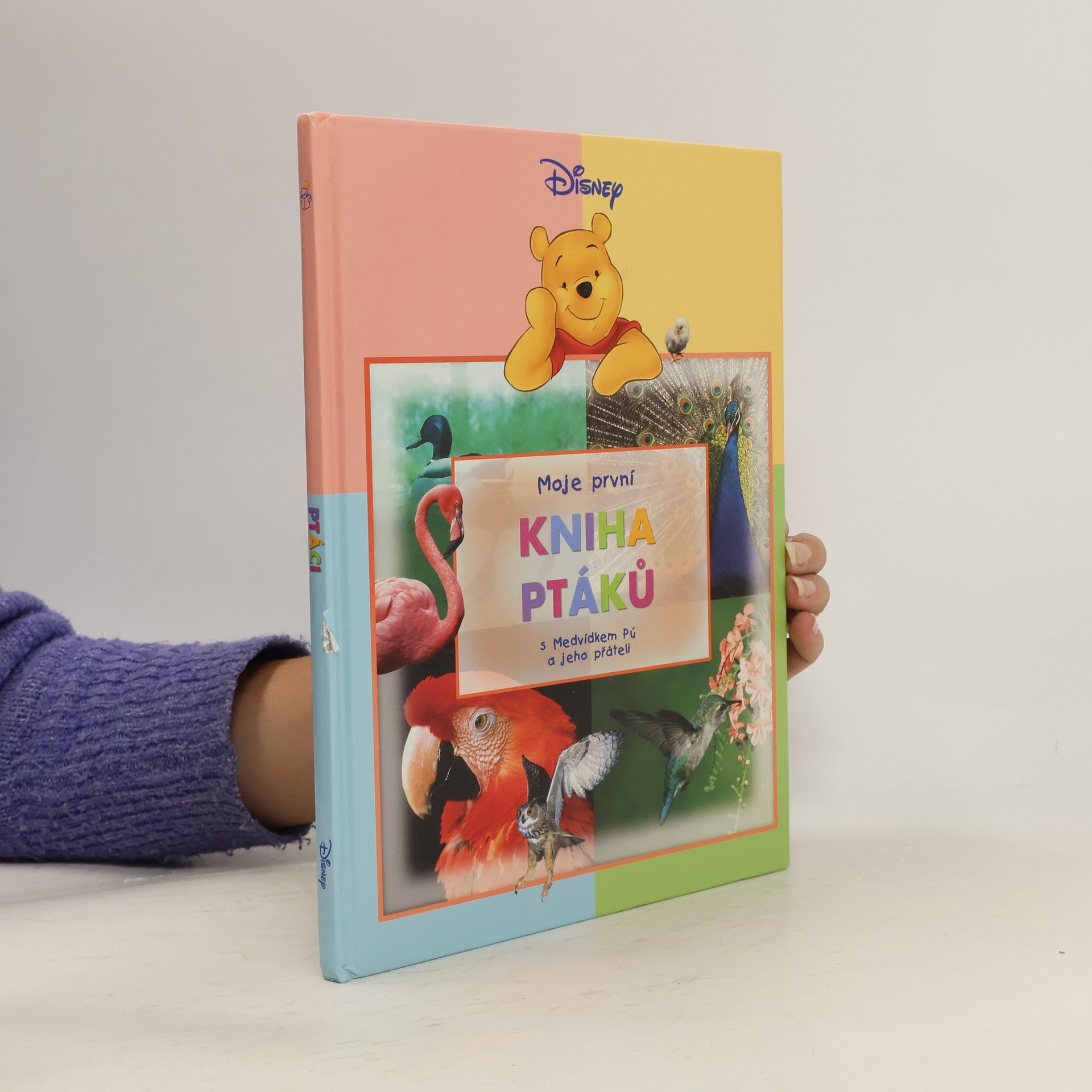 Moje první kniha ptáků s Medvídkem Pú a jeho přáteli