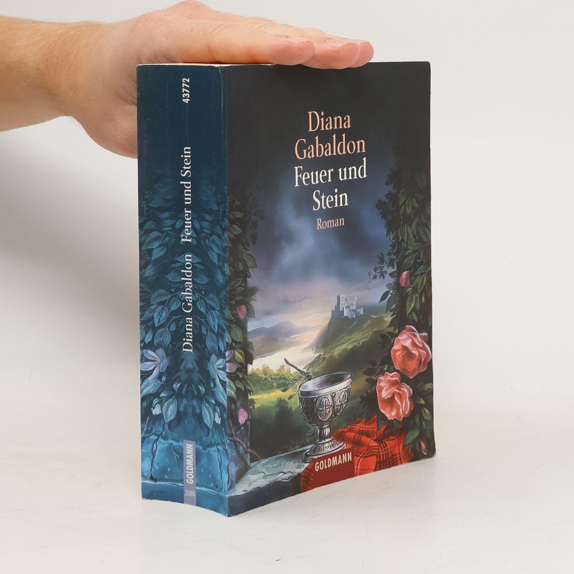 Diana Gabaldon Feuer und Stein