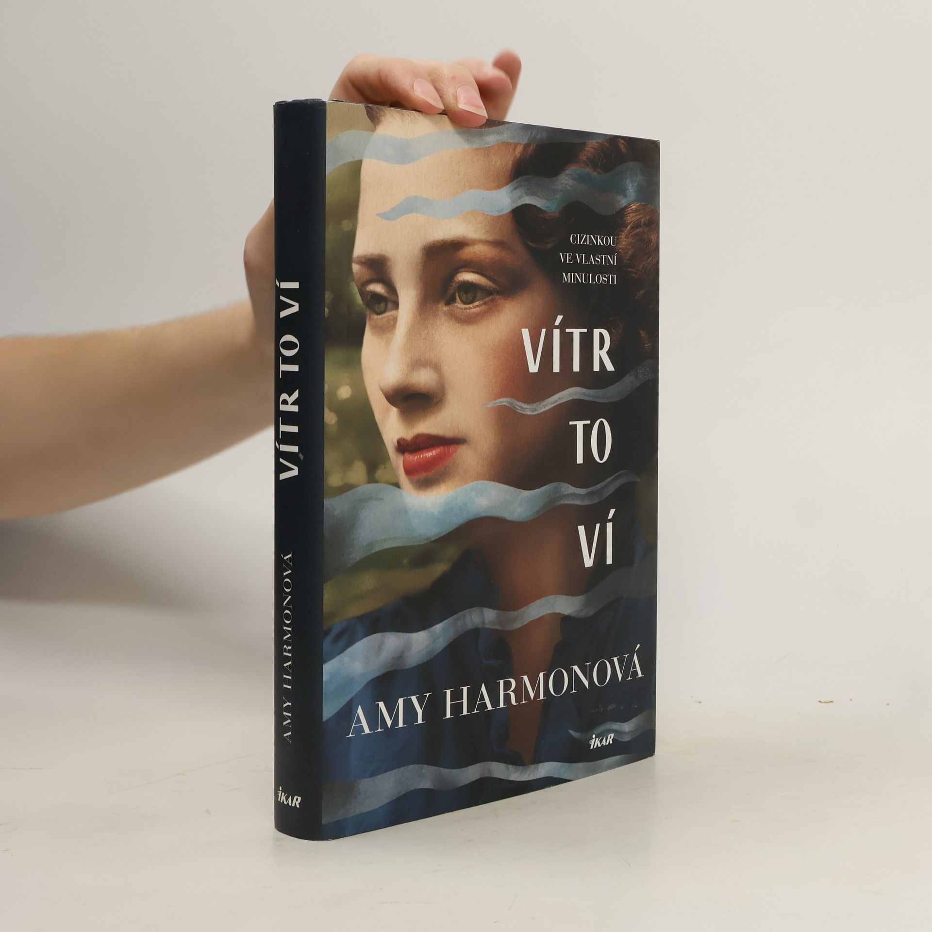 Amy Harmon Vítr to ví