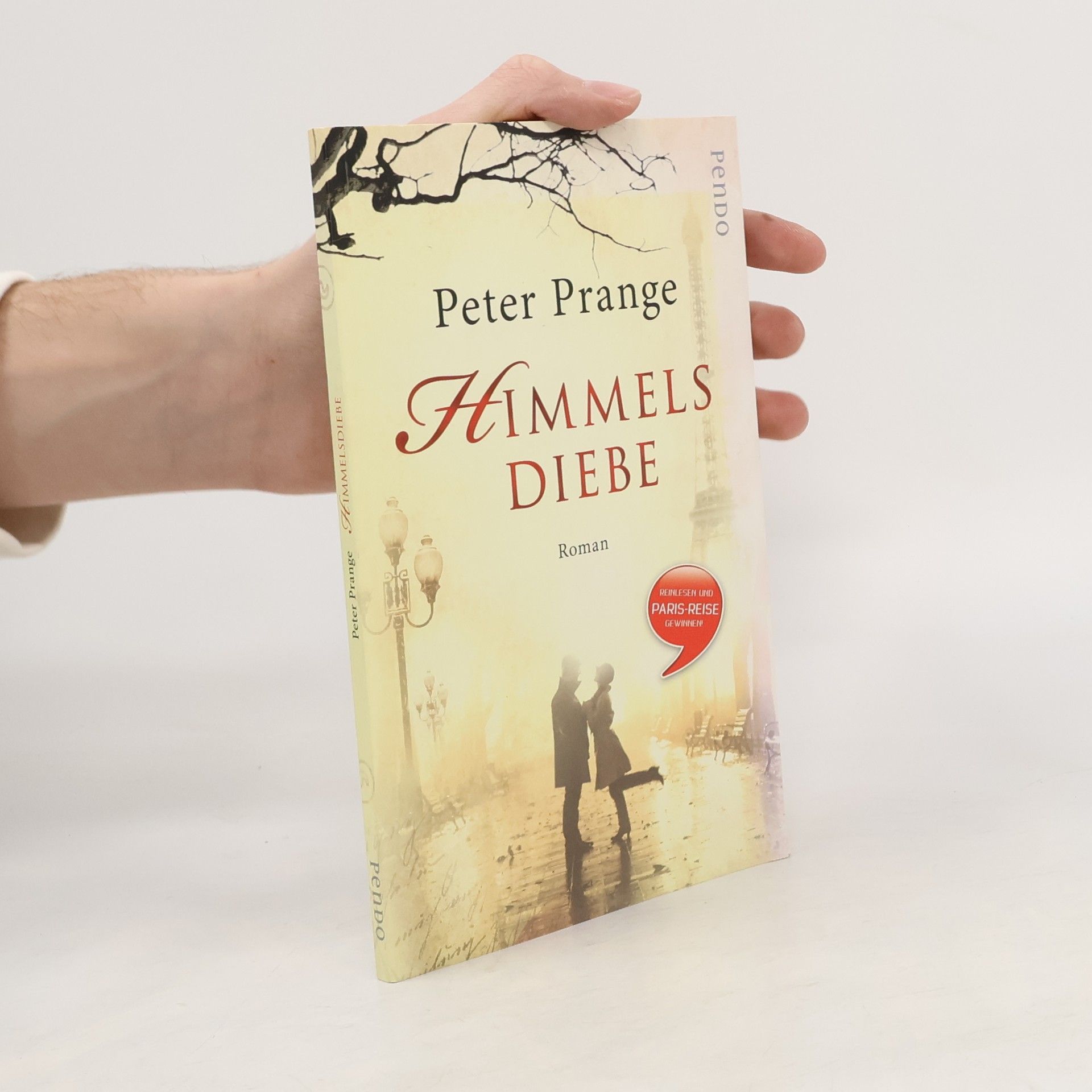 Peter Prange Himmels Diebe