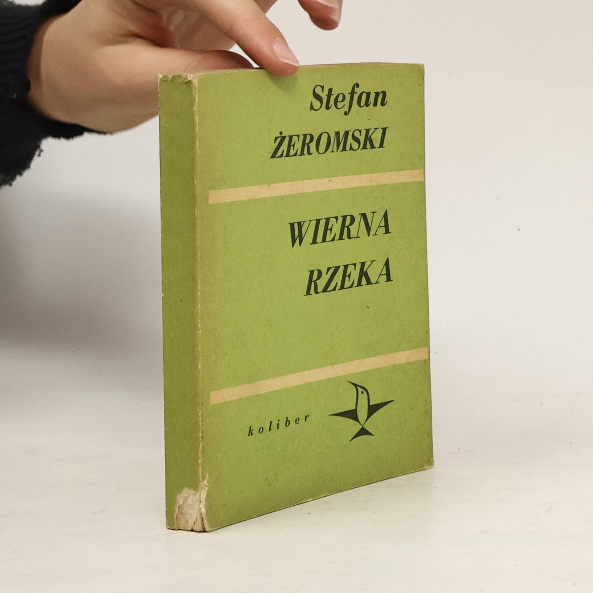 Stefan Żeromski Wierna rzeka