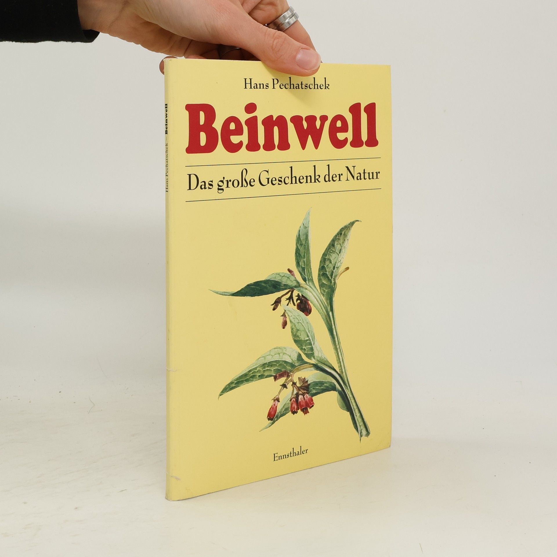 Beinwell