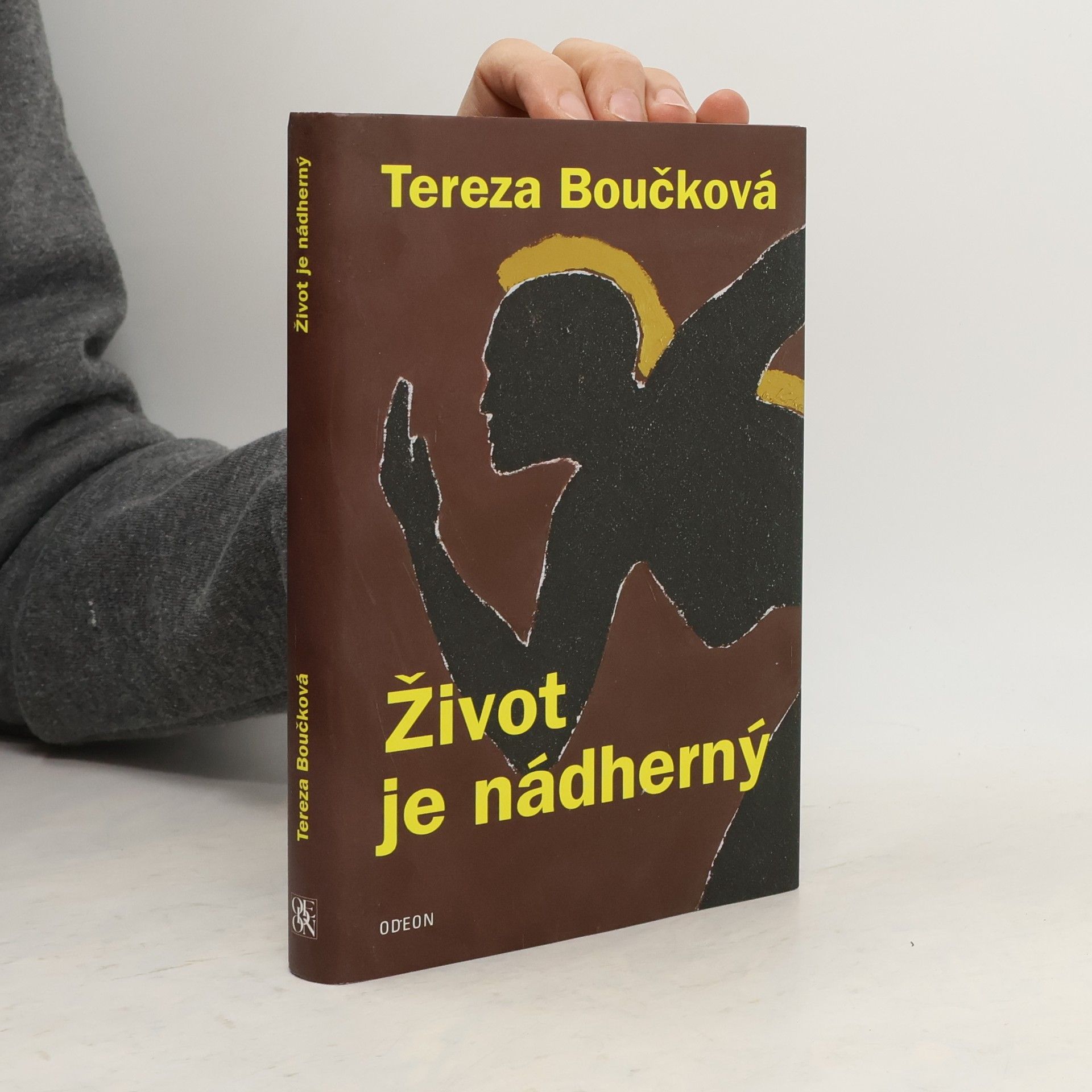 Život je nádherný