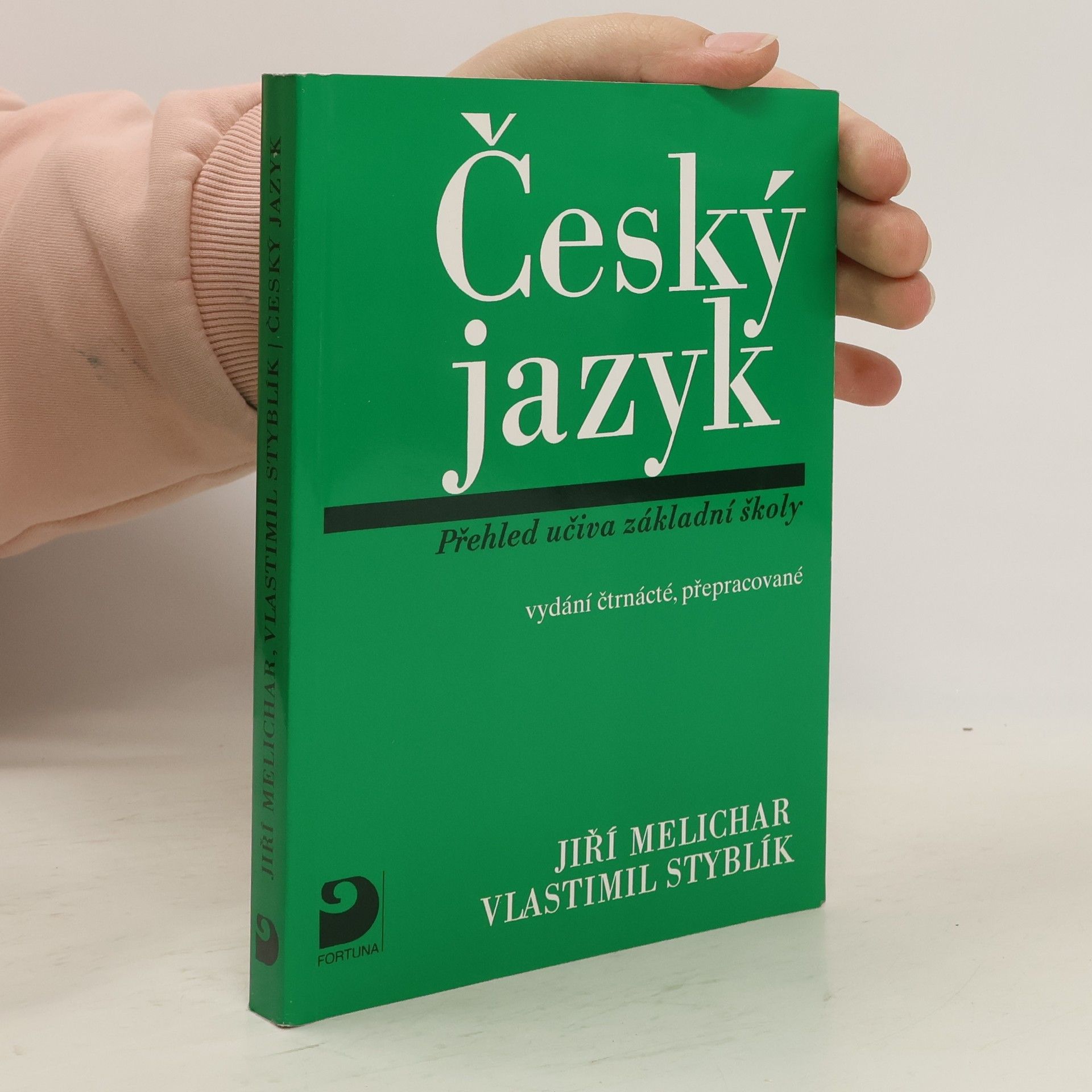 Český jazyk. Přehled učiva základní školy s cvičeními a klíčem