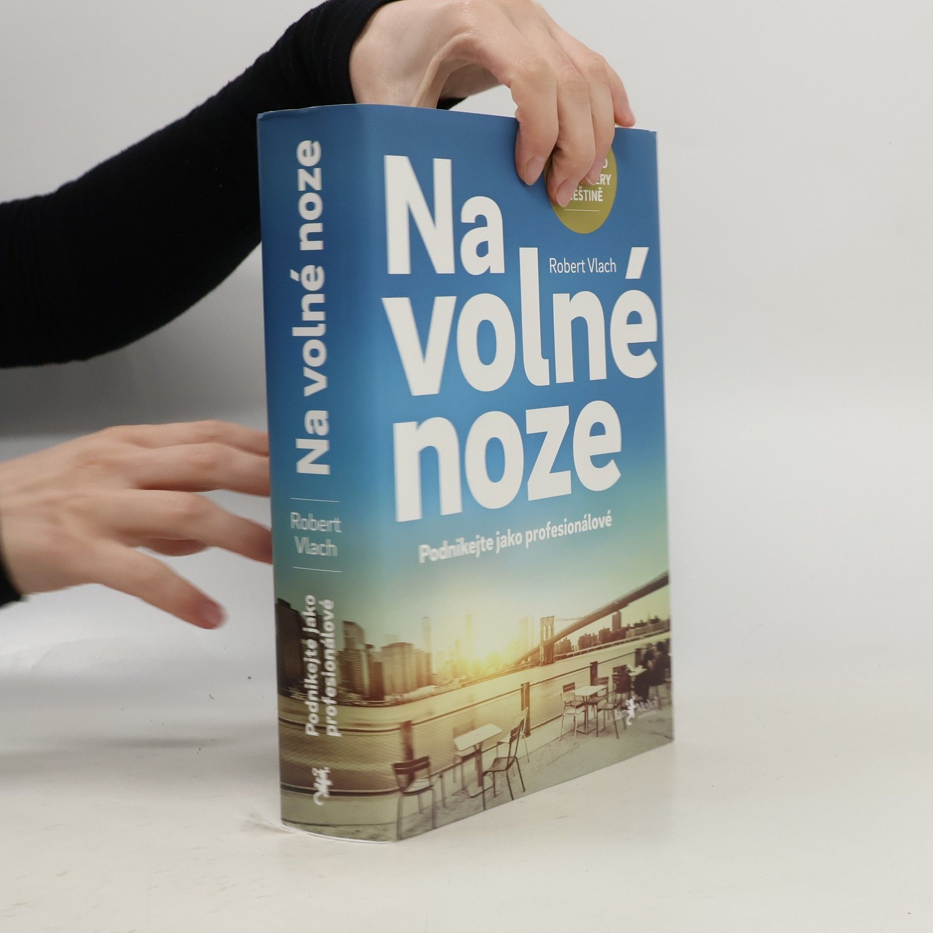 Robert Vlach Na volné noze