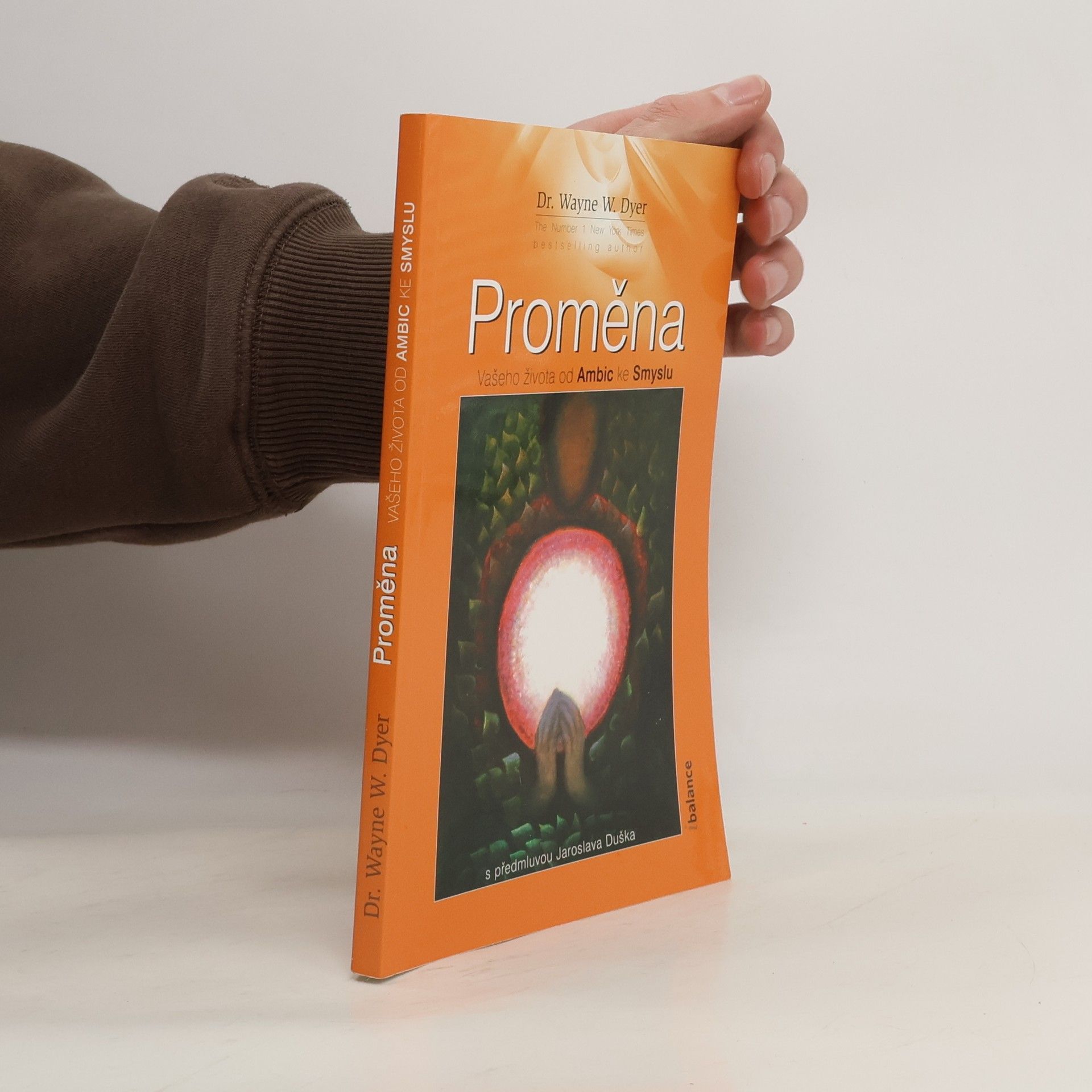 Wayne W. Dyer Proměna vašeho života od ambic ke smyslu