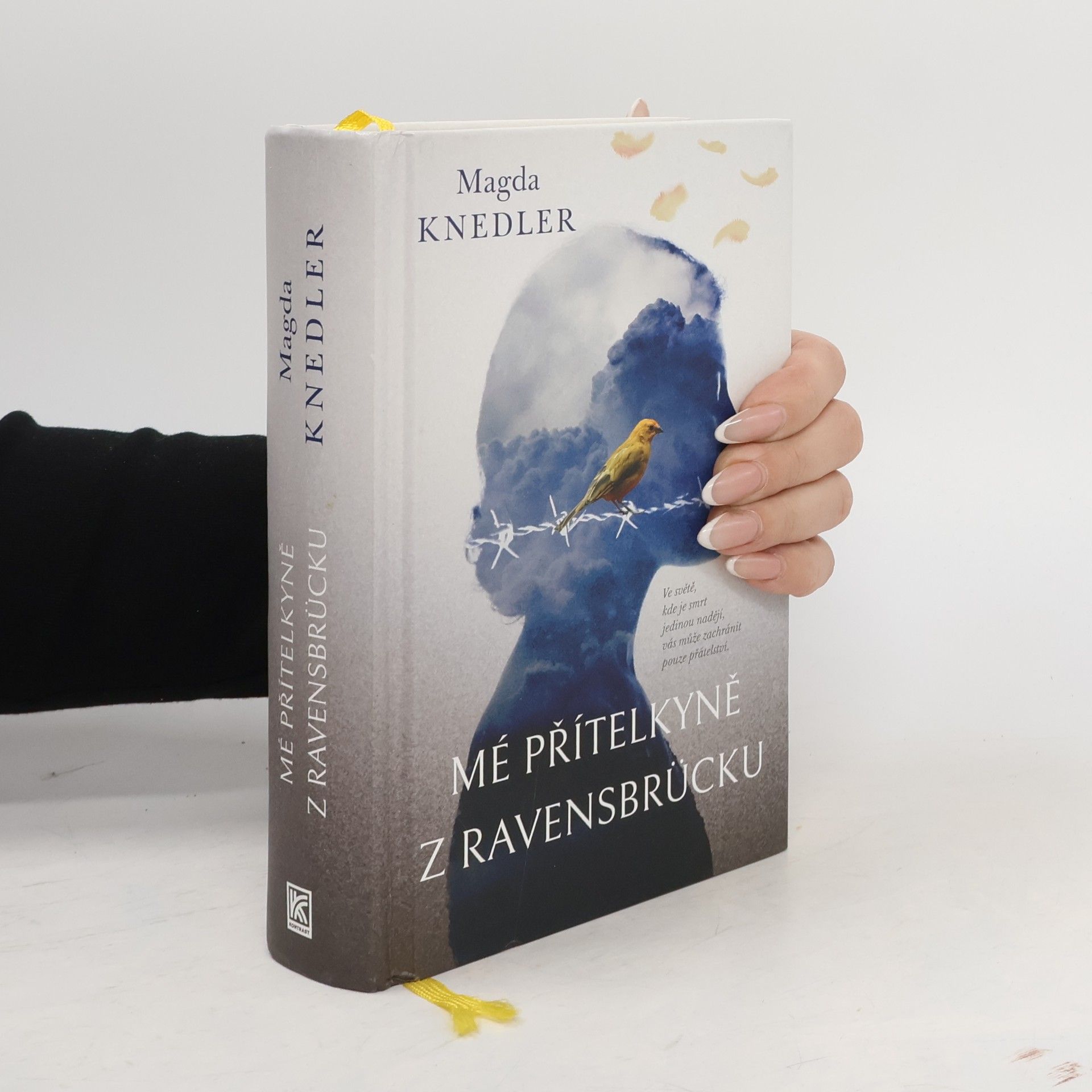 Magdalena Knedler Mé přítelkyně z Ravensbrücku