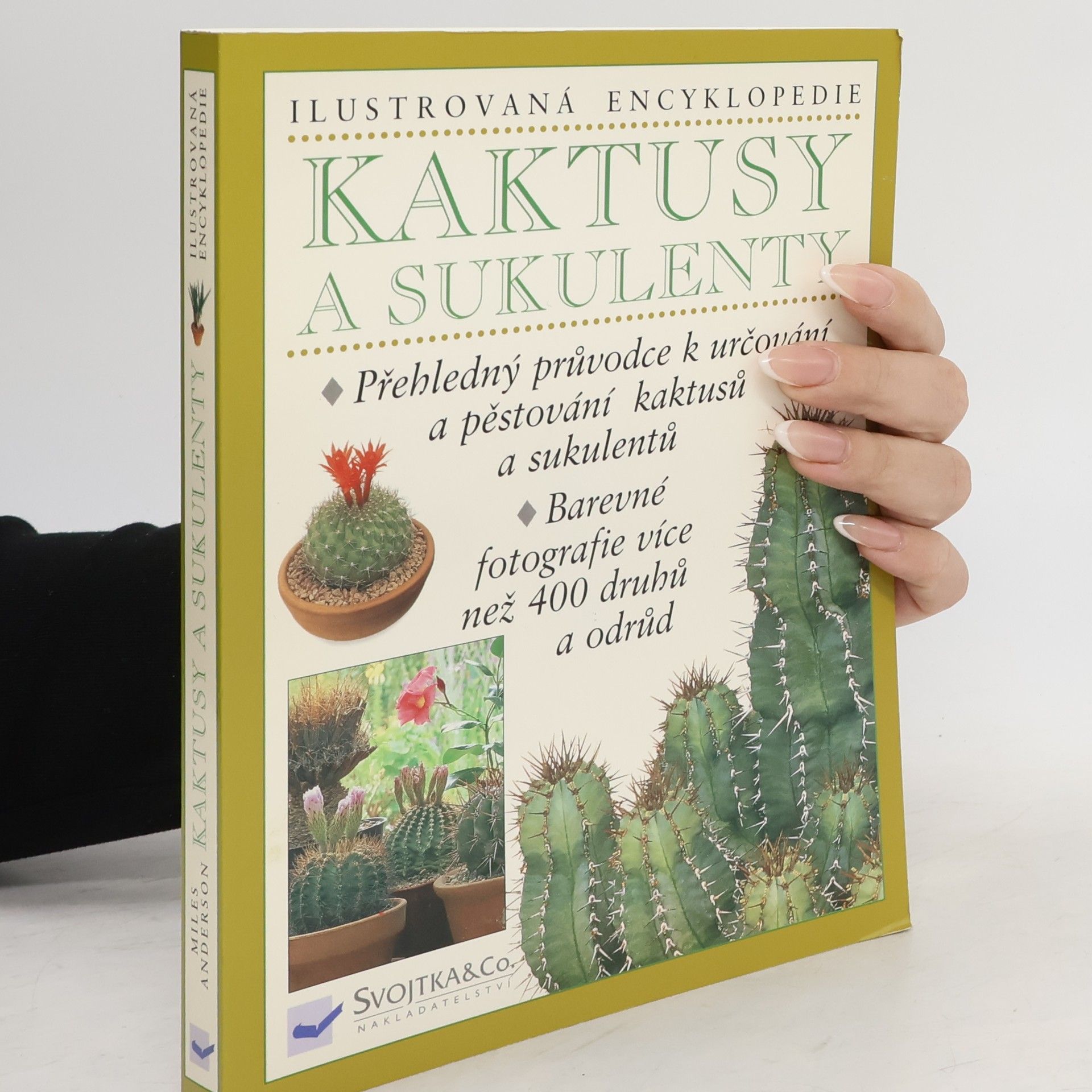 Miles Anderson Kaktusy a sukulenty