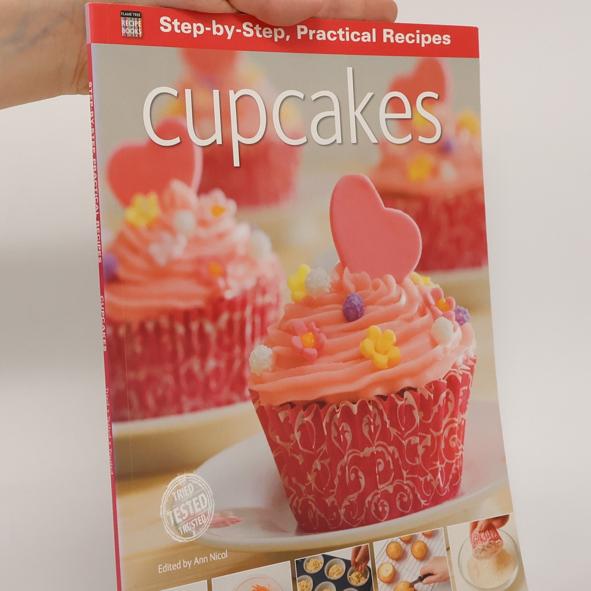 Ann Nicol Step-by-Step Practical Recipes