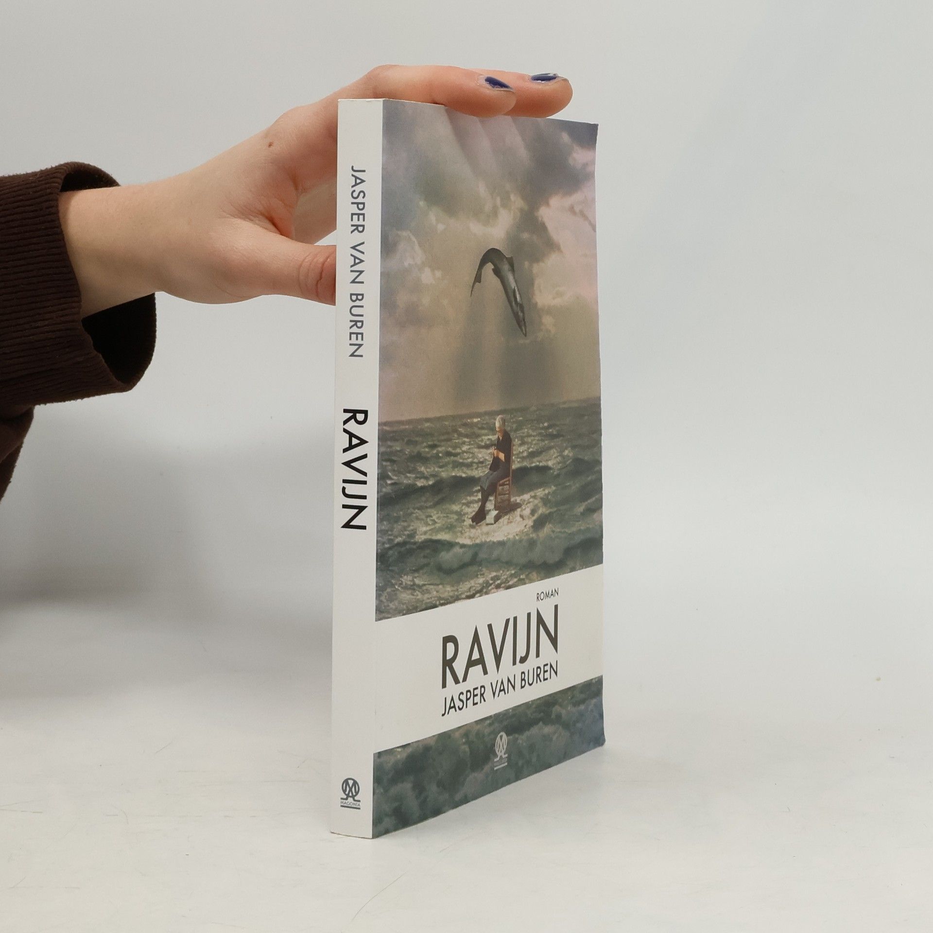 Jasper van Buren Ravijn