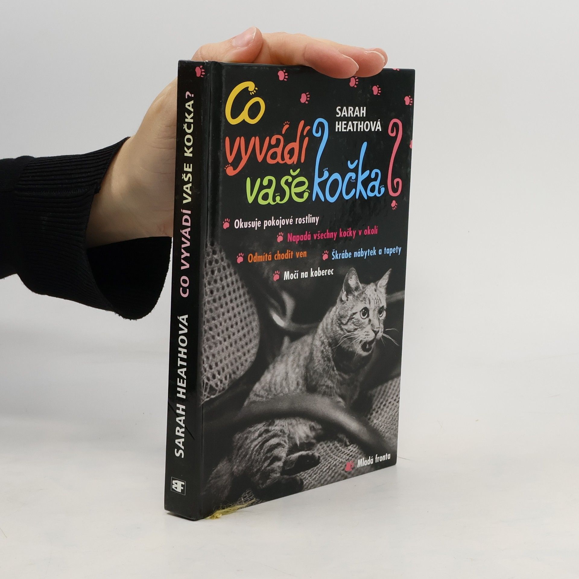 Co vyvádí vaše kočka?