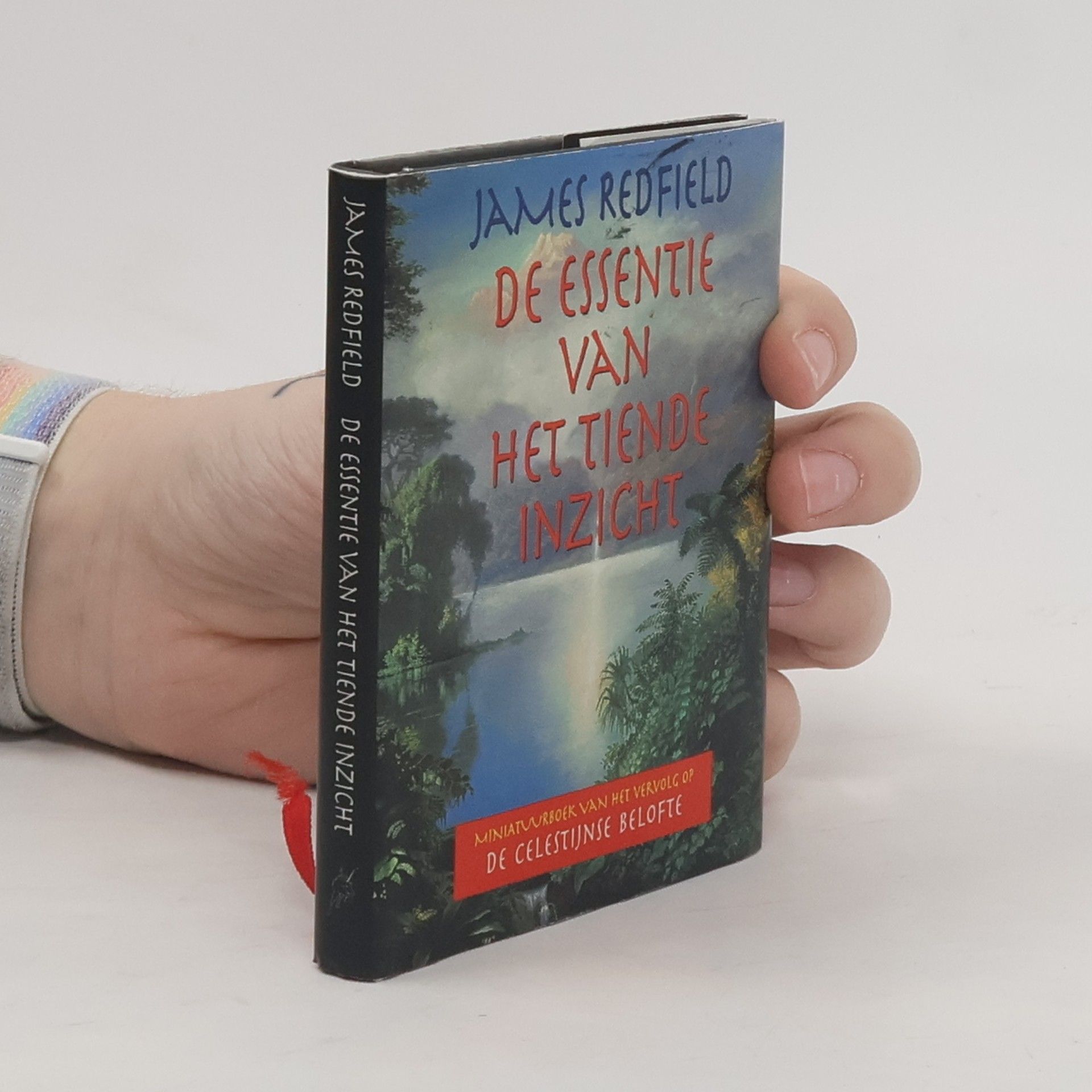 De Essentie van het Tiende Inzicht