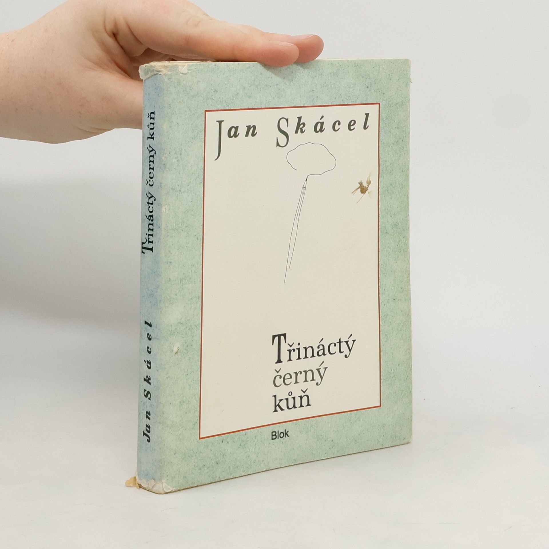 Třináctý černý kůň