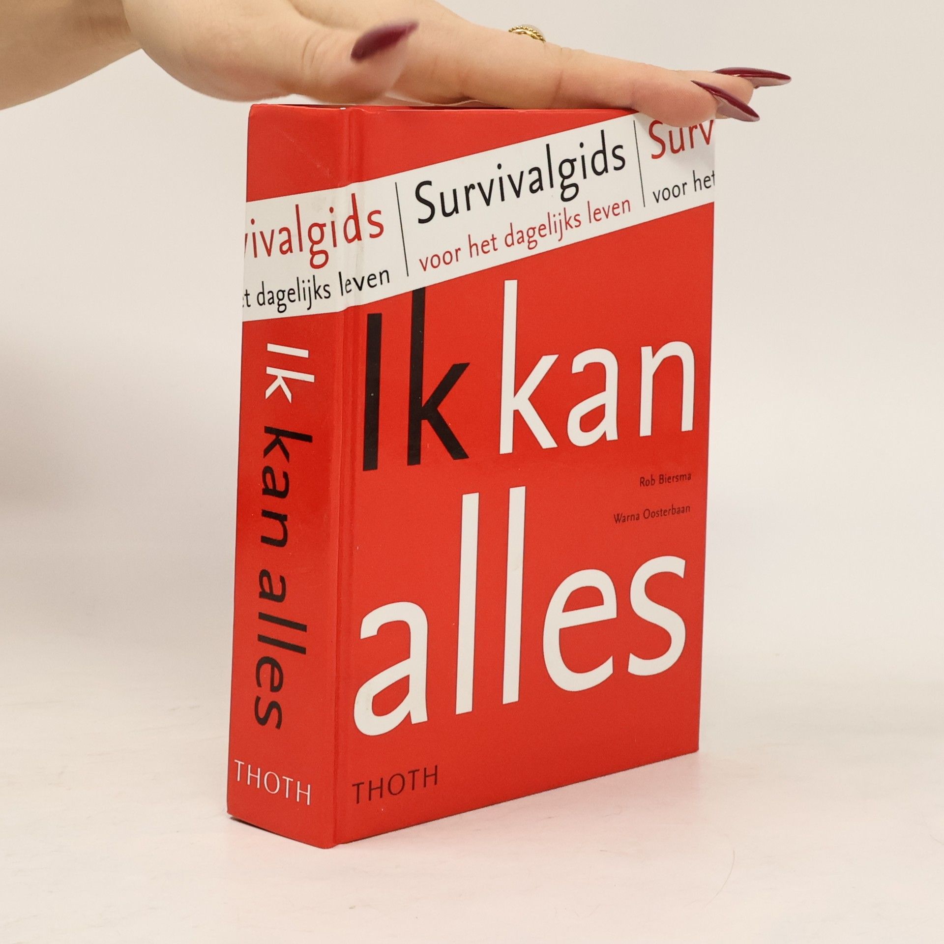 Rob Biersma Ik kan alles