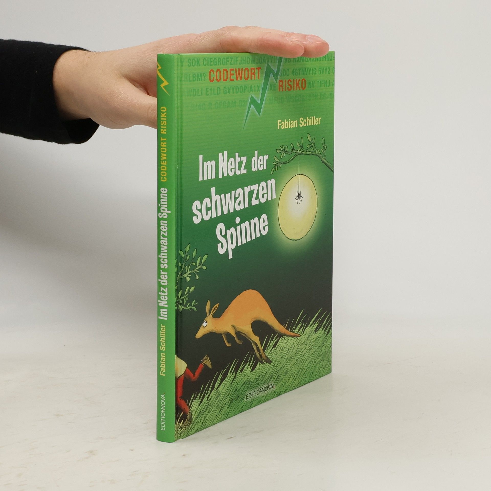 Fabian Schiller Im Netz der schwarzen Spinne