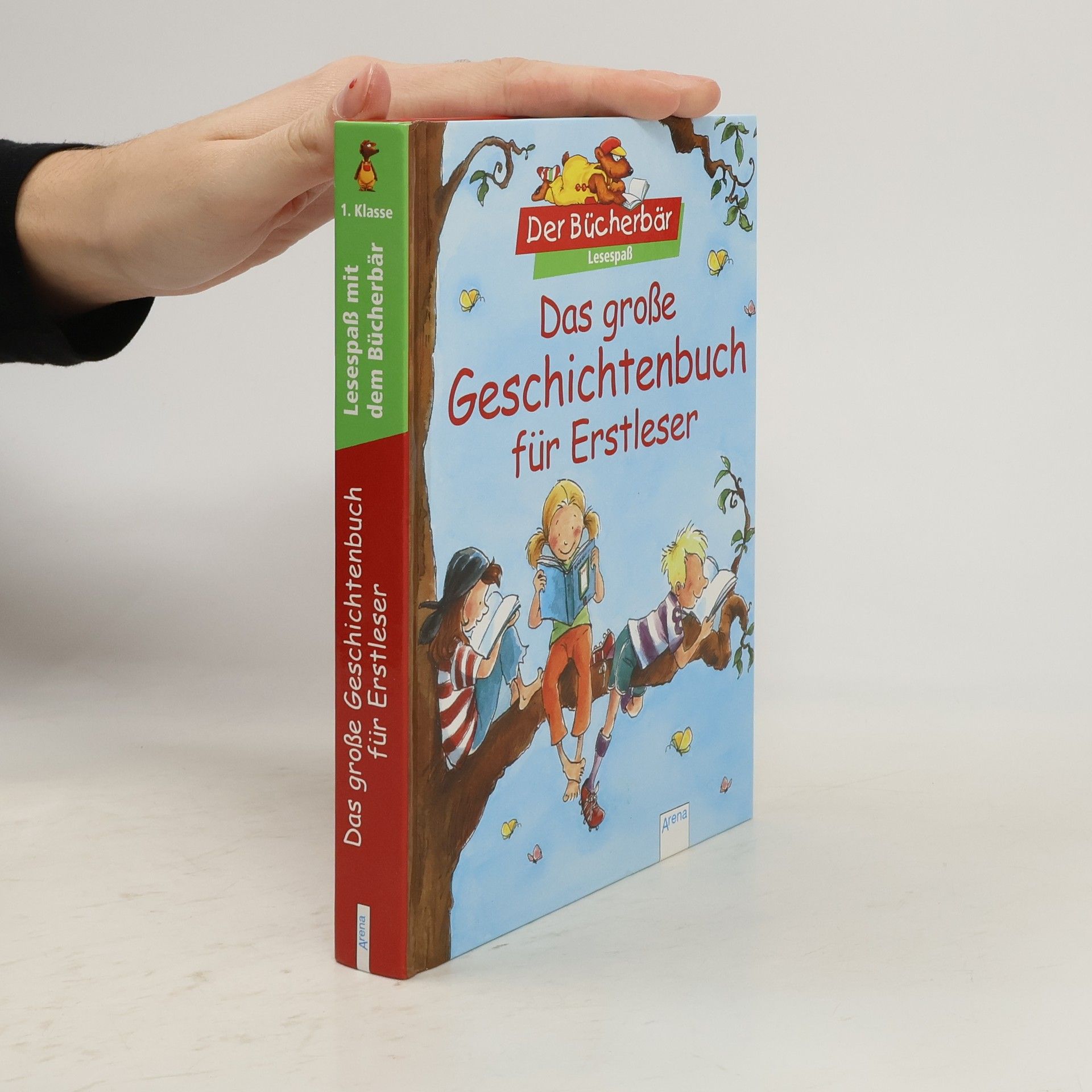 Autorenkollektiv Das große Geschichtenbuch für Erstleser