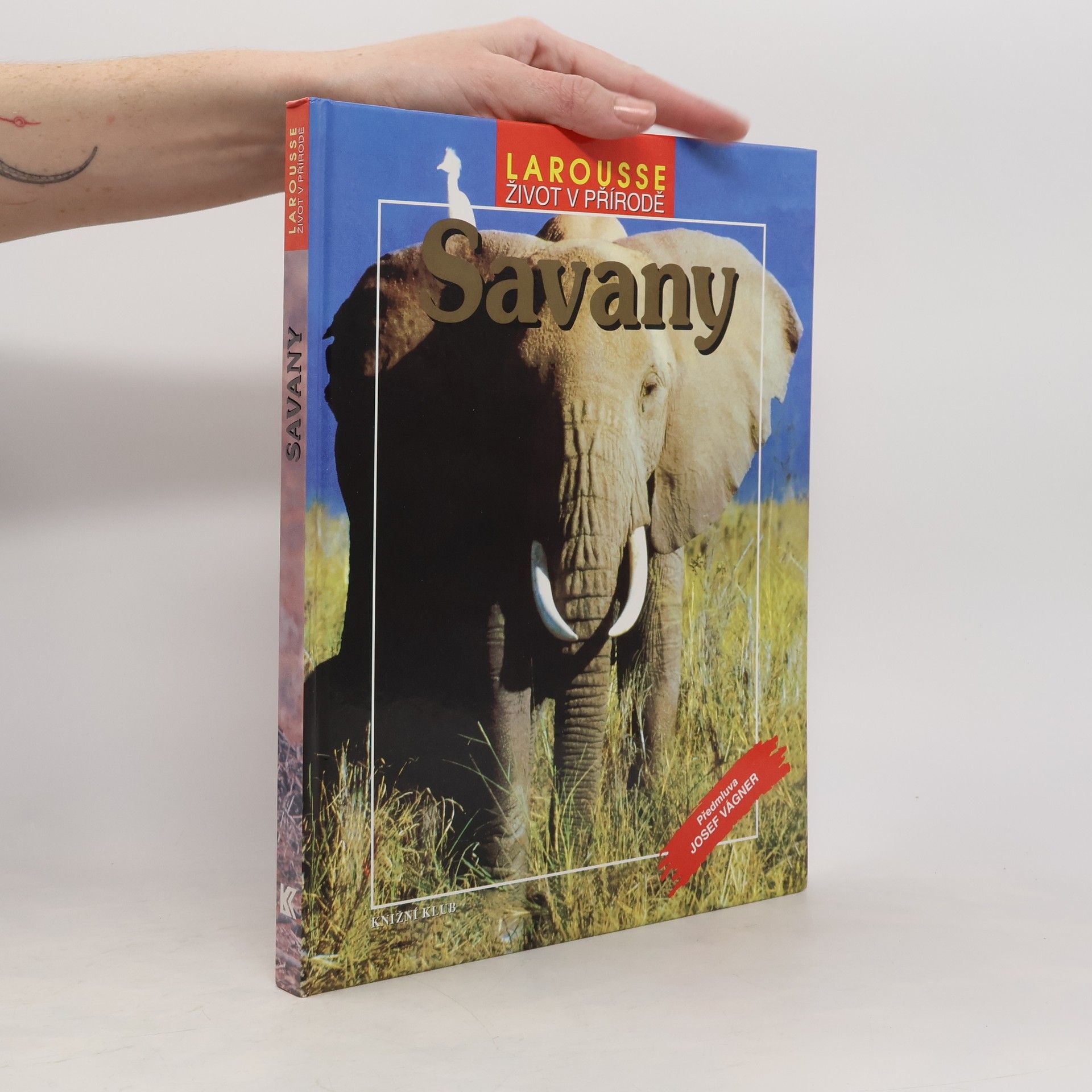 Auteurscollectief Savany