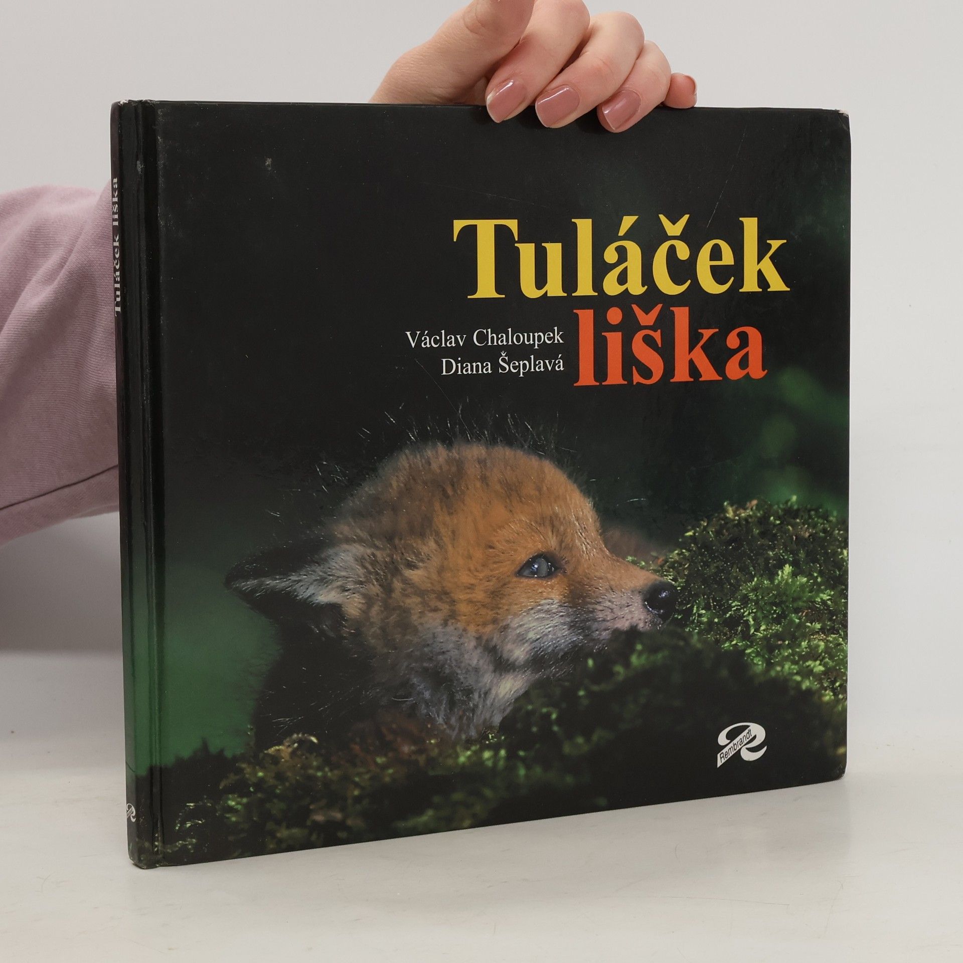 Diana Šeplavá Tuláček liška