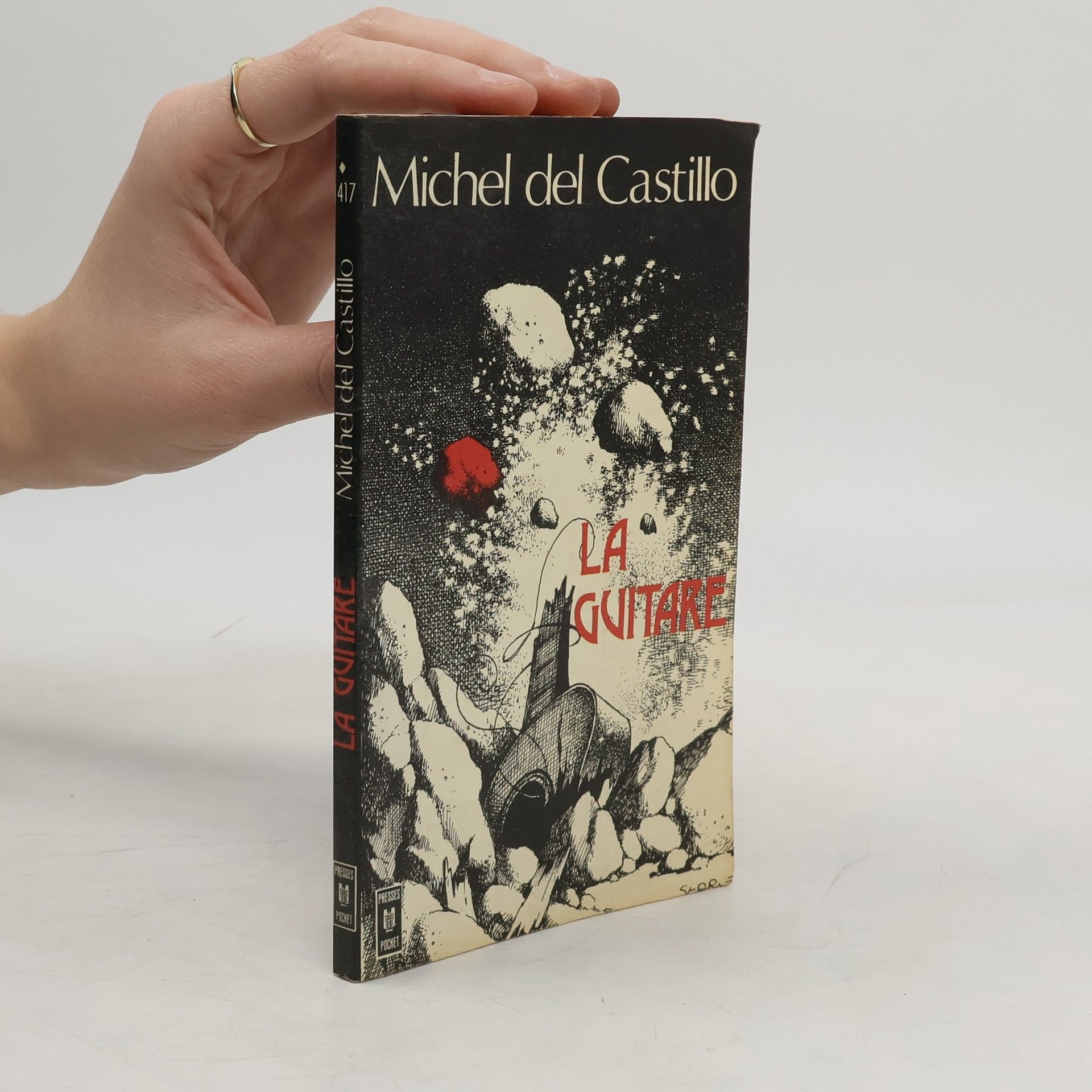 Michel Del Castillo La guitare