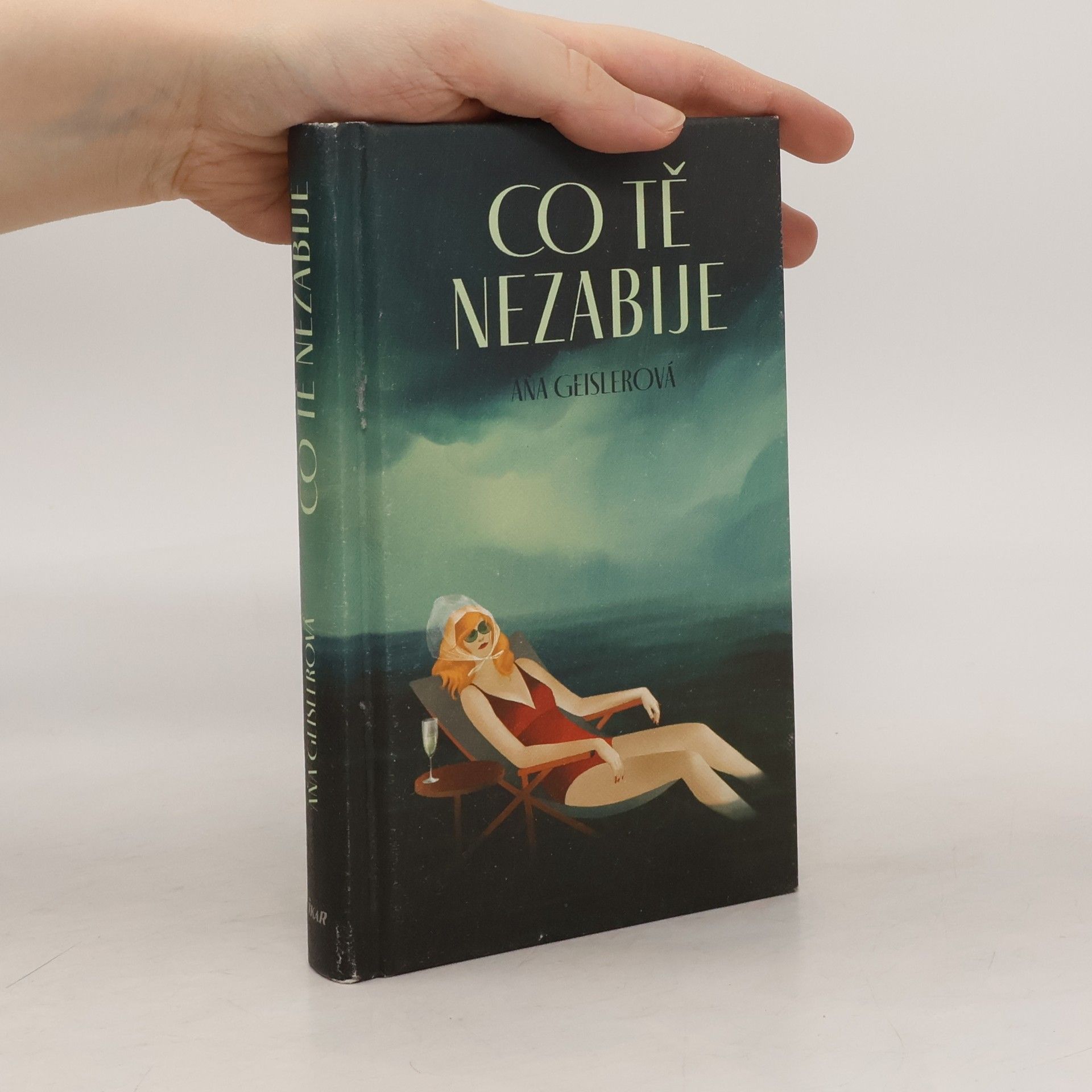 Anna Geislerová Co tě nezabije