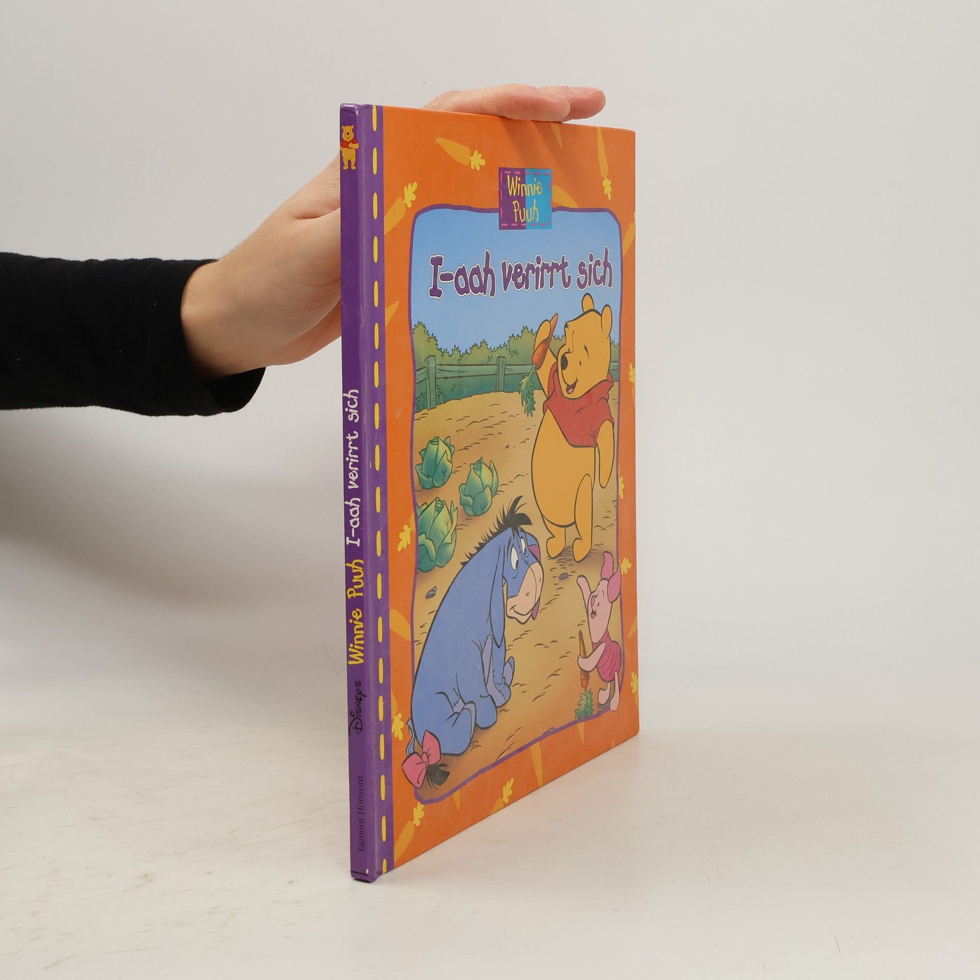 Autorenkollektiv I-aah verirrt sich