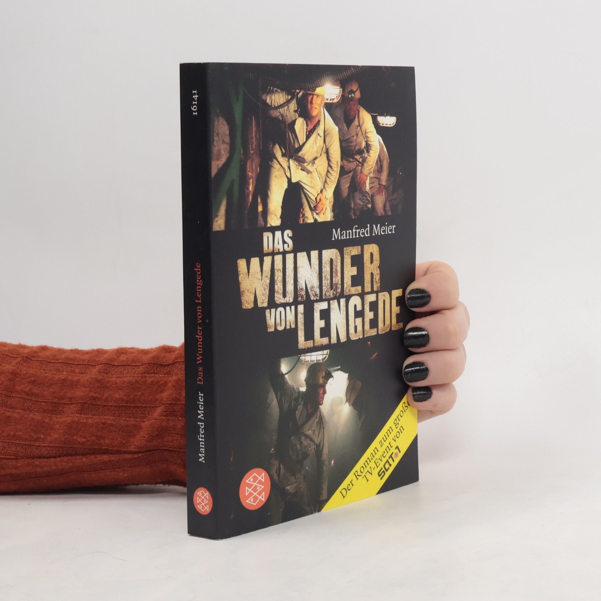 Das Wunder von Lengede