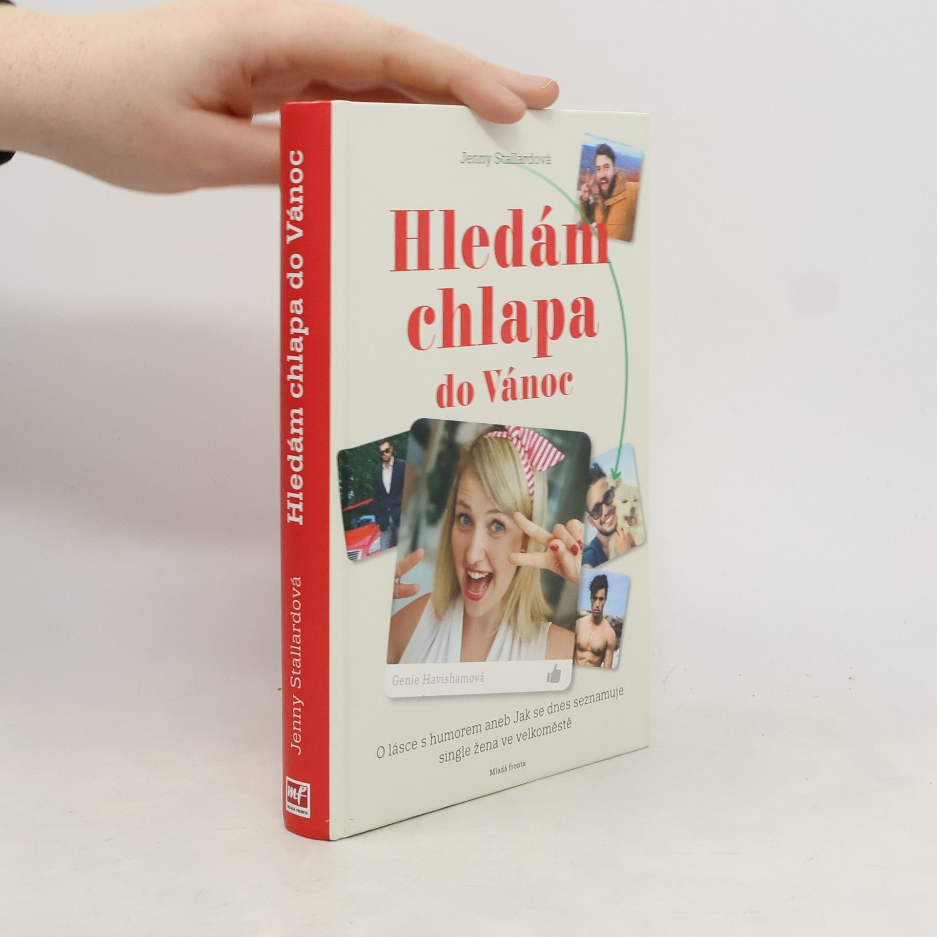 Jenny Stallard Hledám chlapa do Vánoc