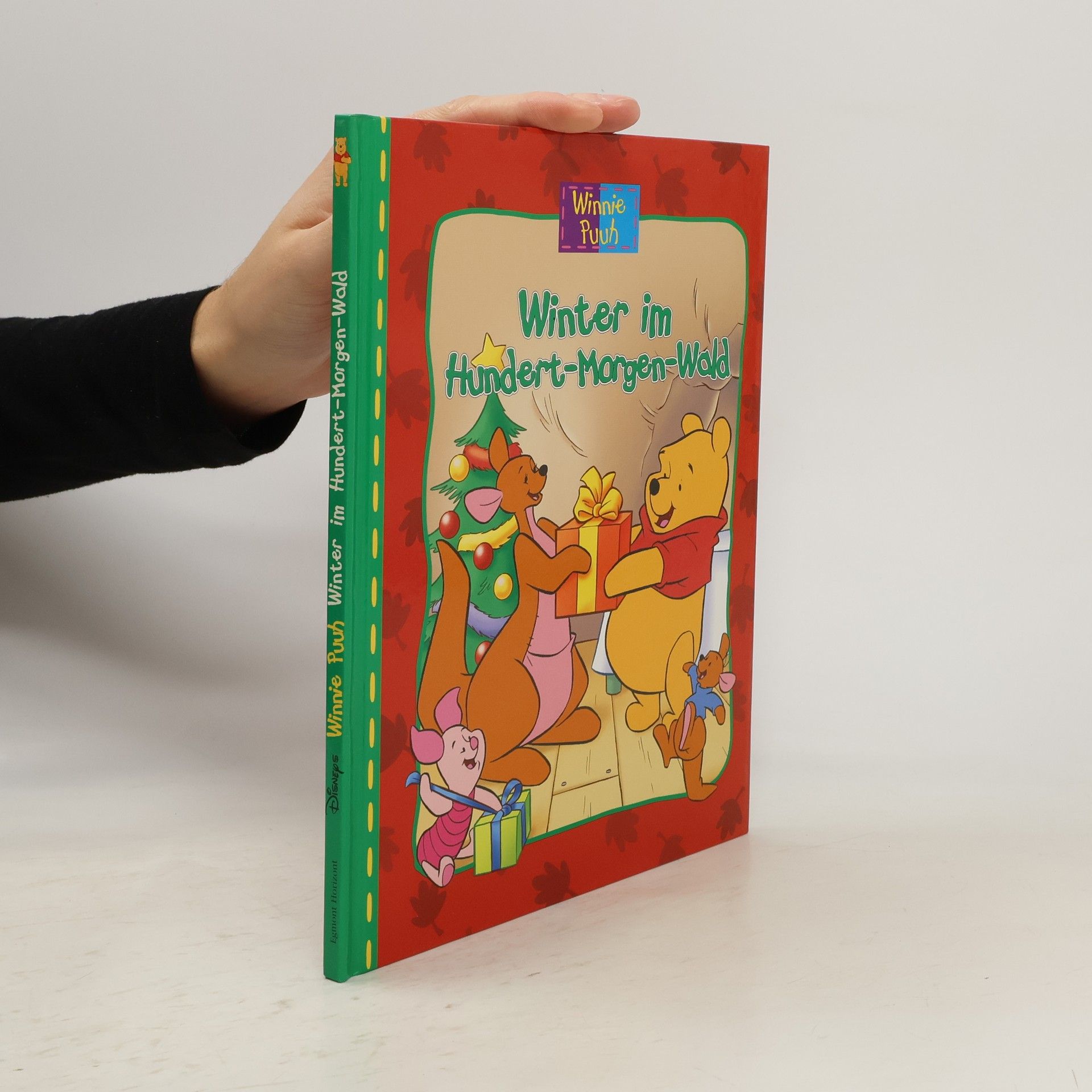 Collectif d'auteurs Winnie Puuh: Winter im Hundert-Morgen-Wald