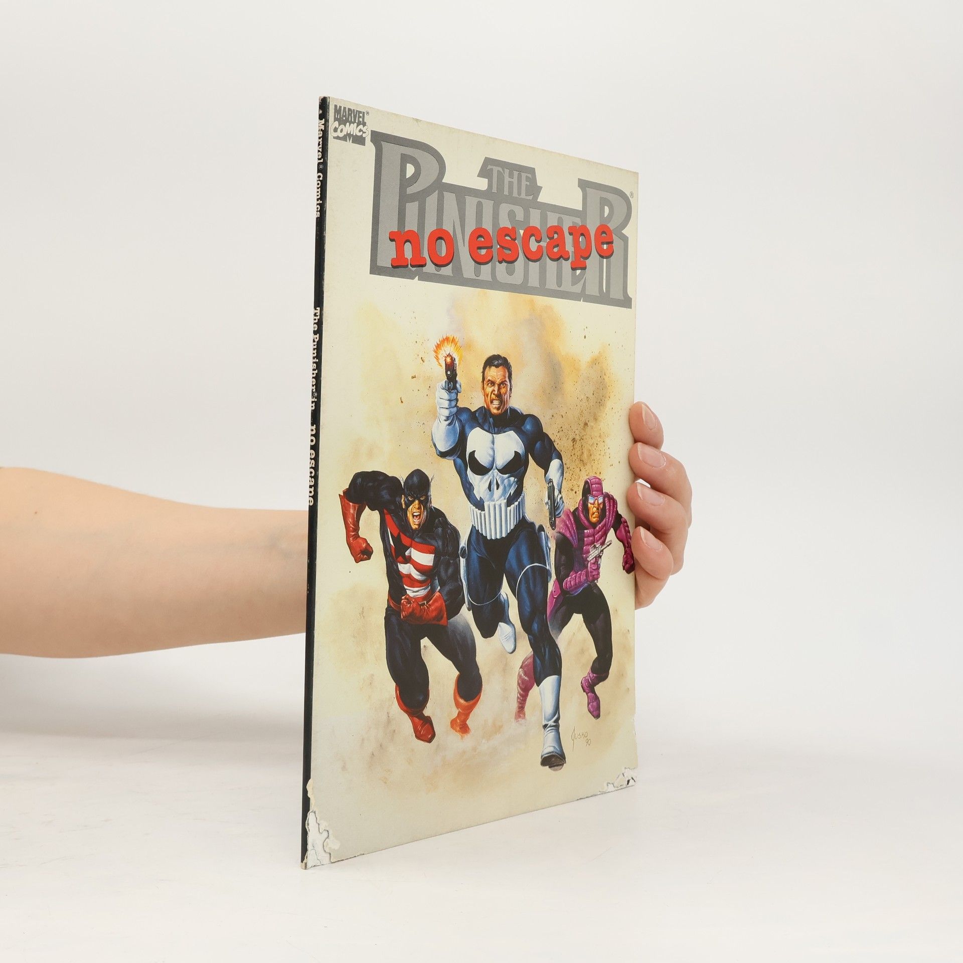 Gregory Wright The Punisher