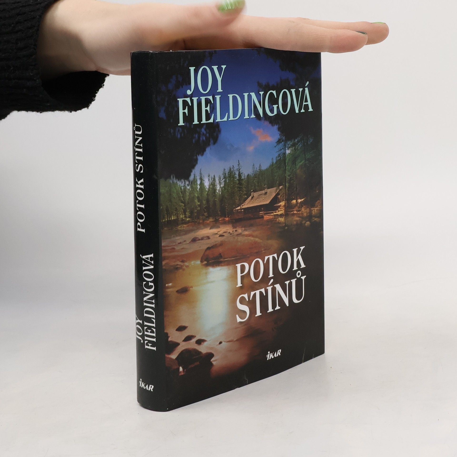 Joy Fielding Potok stínů