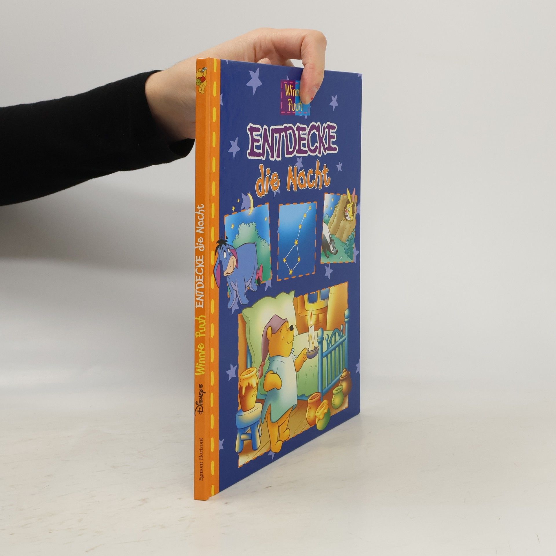 Autorenkollektiv Winnie Puuh: Entdecke die Nacht