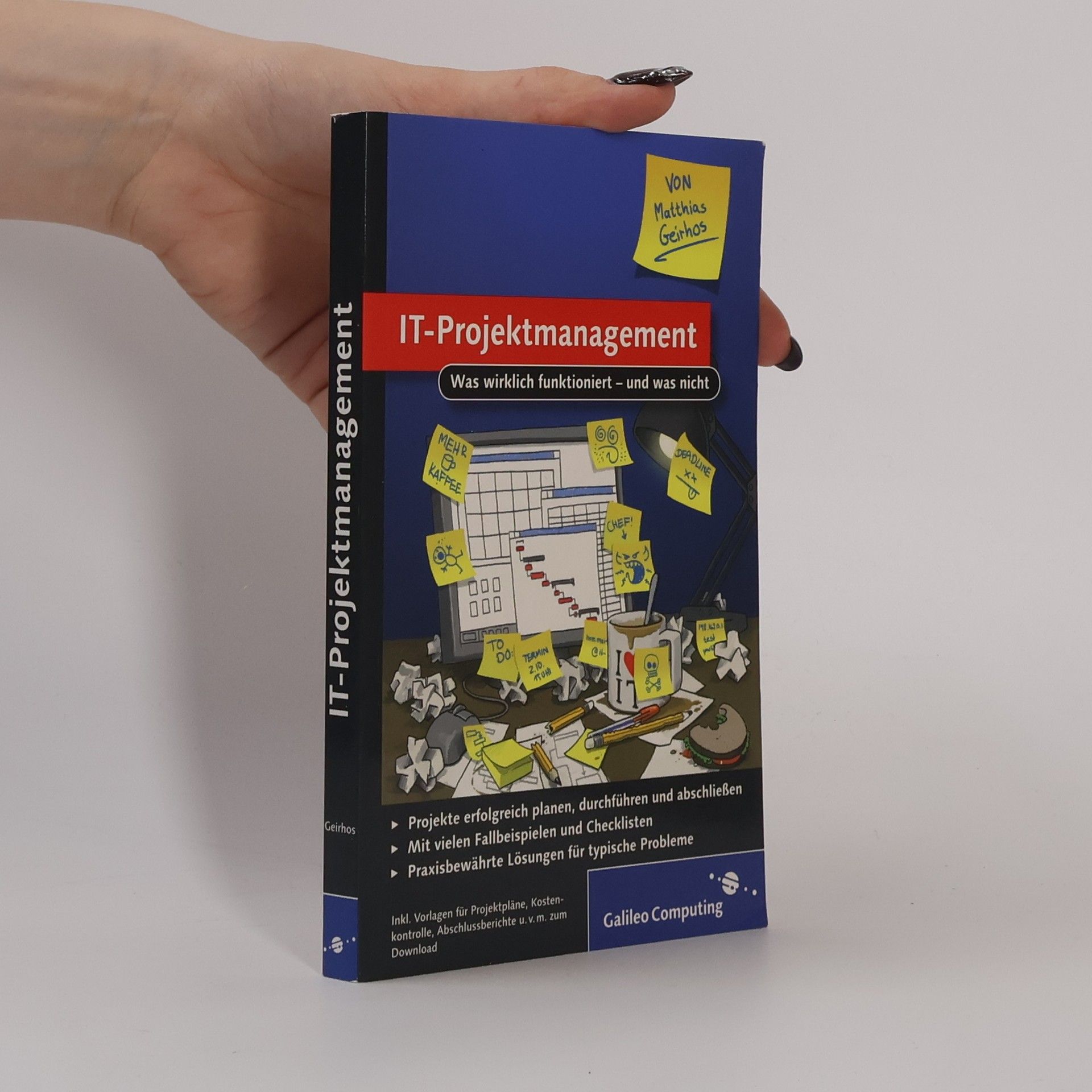 Matthias Geirhos IT-Projektmanagement