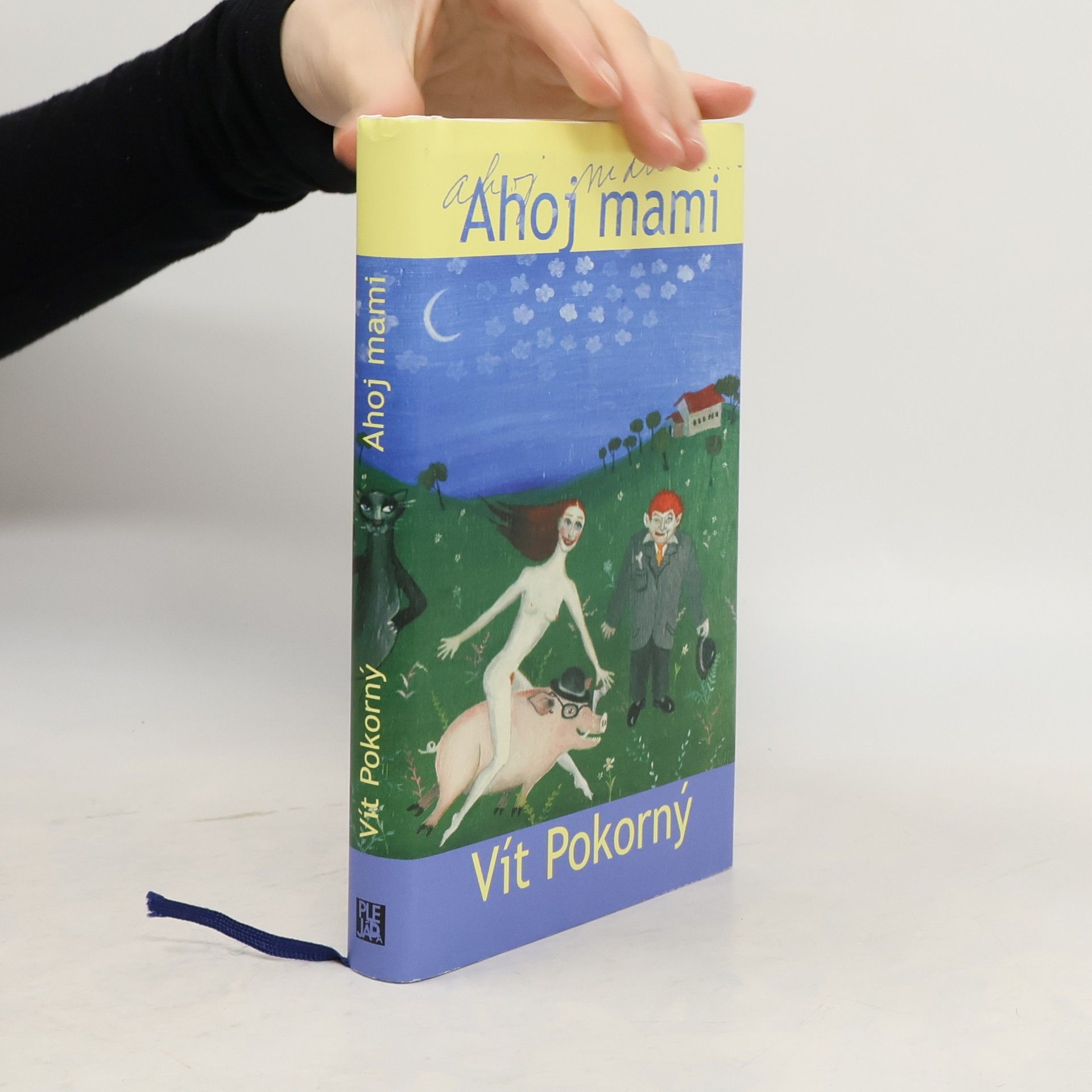 Vít Pokorný Ahoj mami