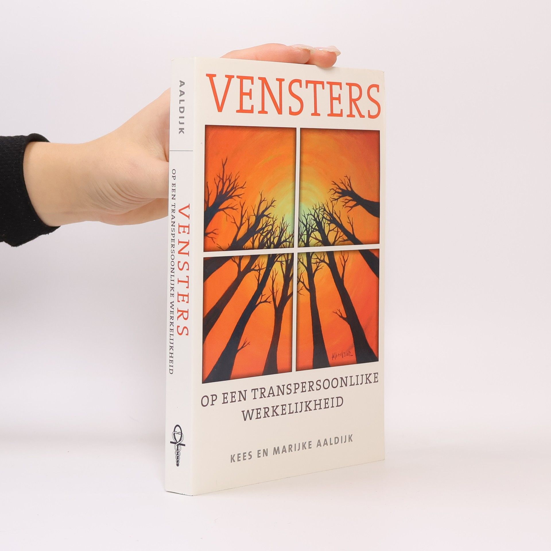 Kees Aaldijk Vensters