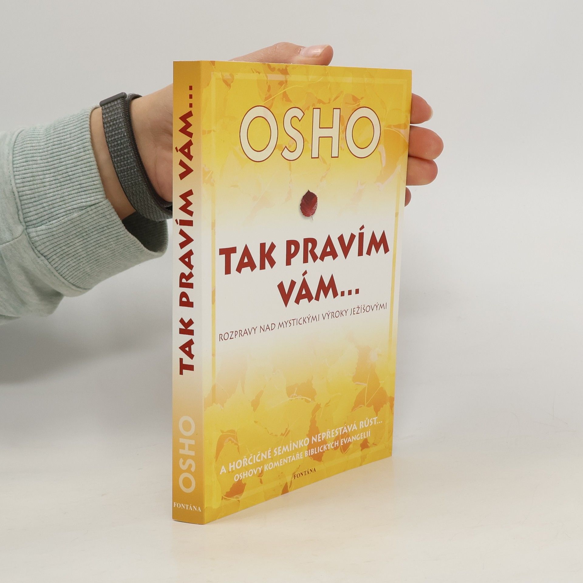 Tak pravím vám... Rozmluvy o mystických výrocích Ježíšových