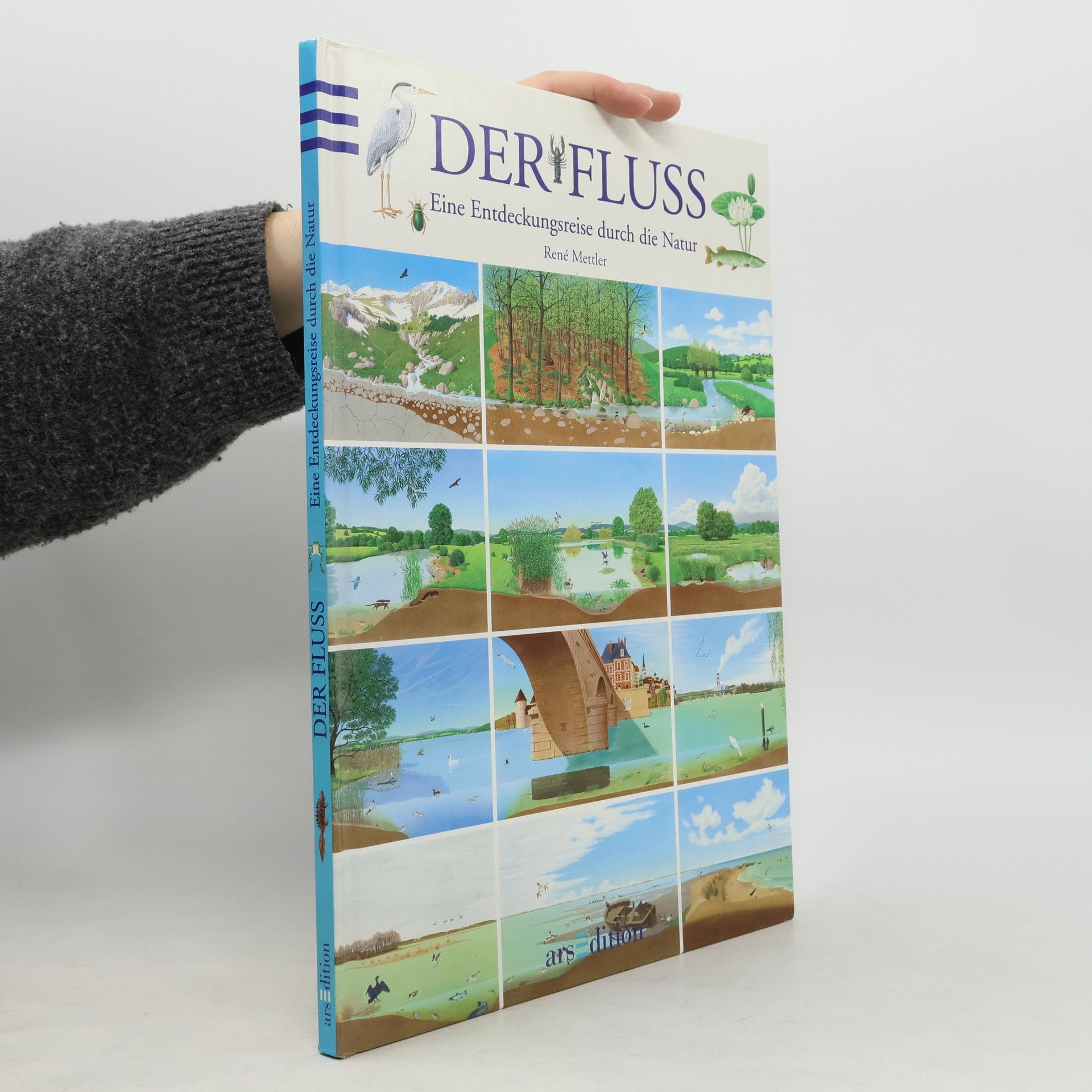 Rene Mettler Der Fluss