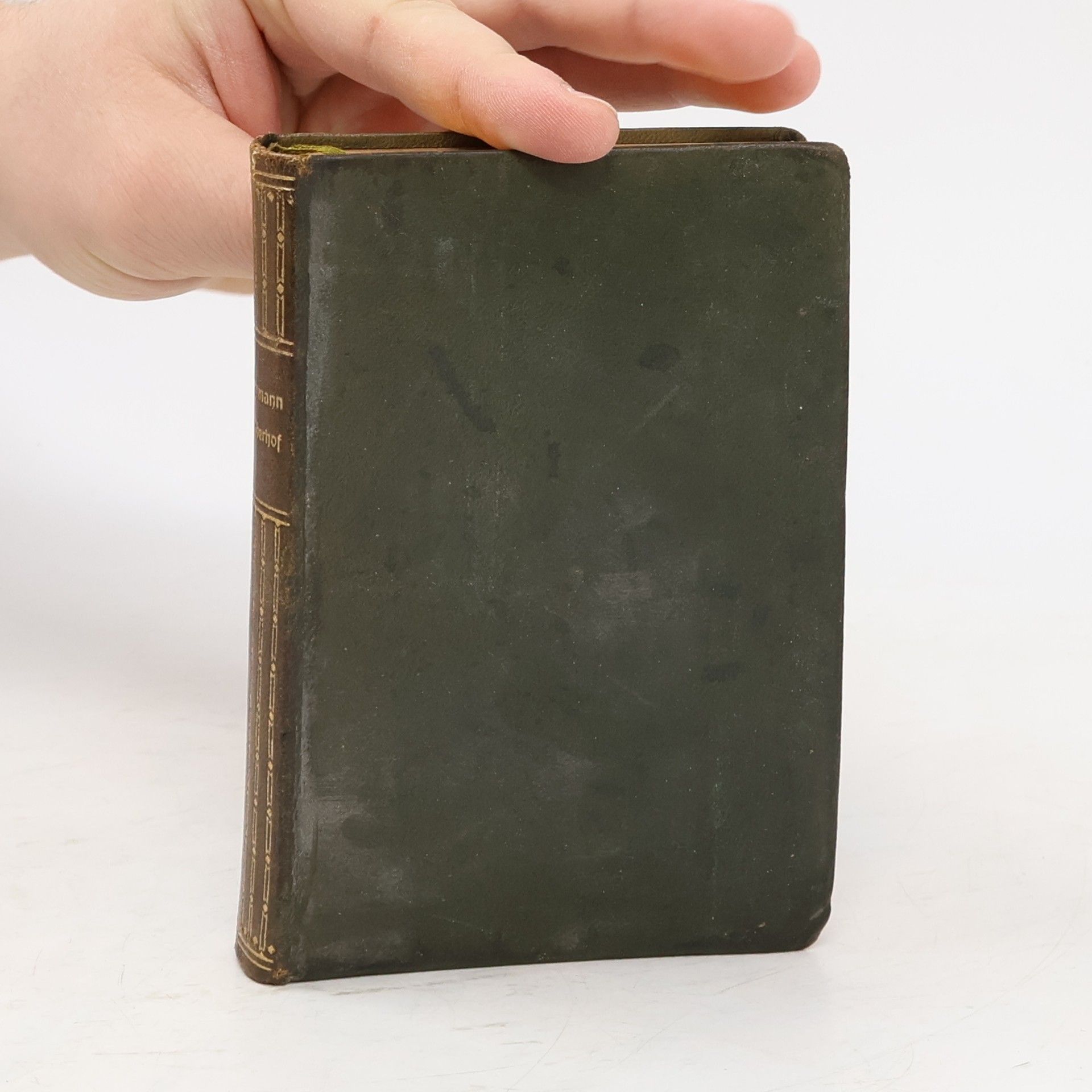 Carl Lebrecht Immermann Der Oberhof