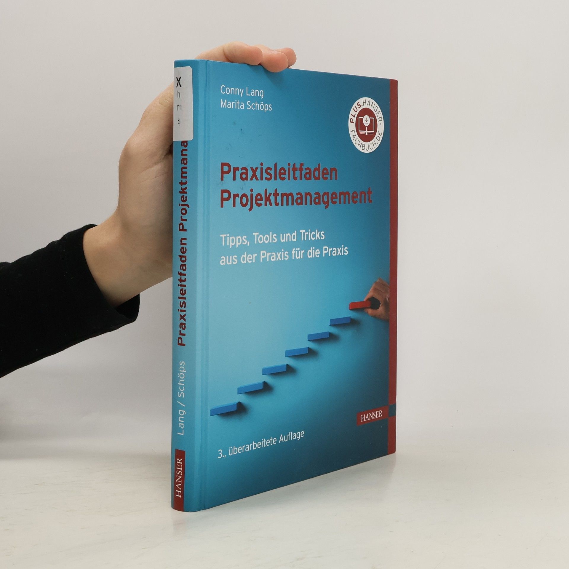 Conny Lang Praxisleitfaden Projektmanagement