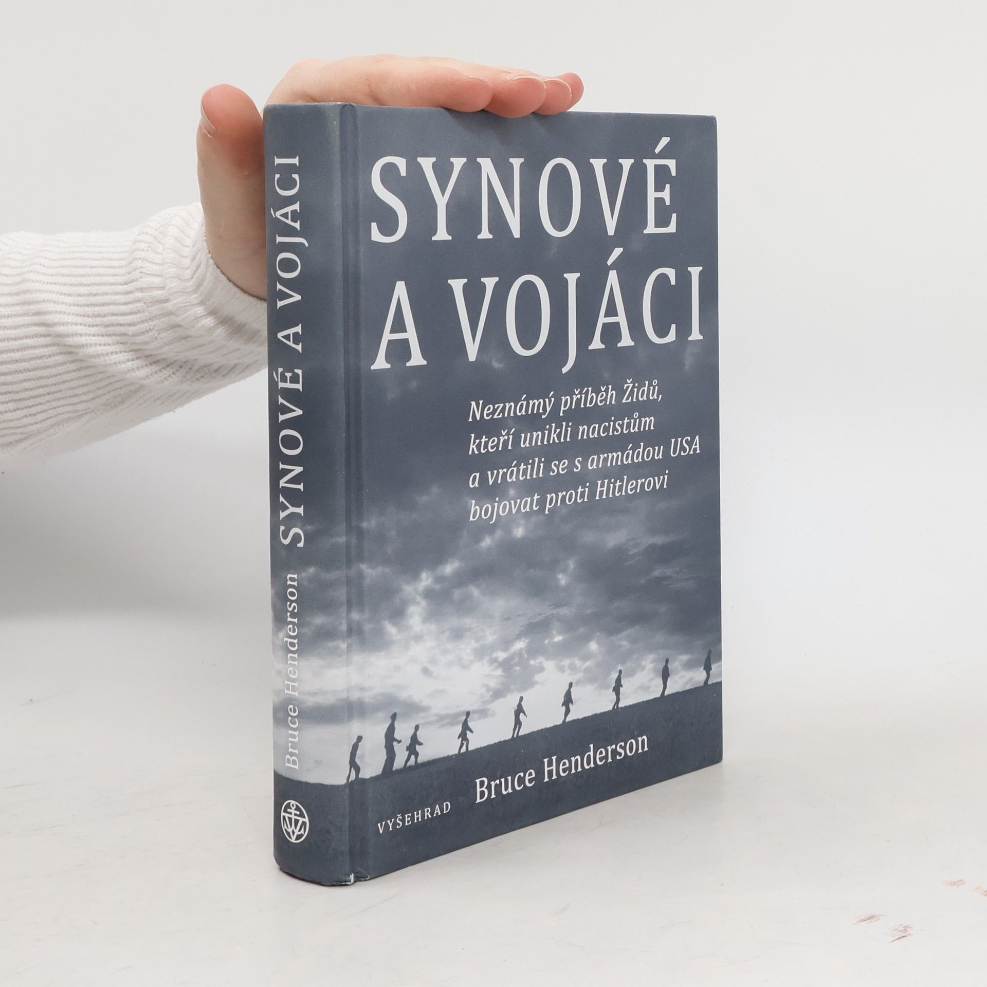 Bruce Henderson Synové a vojáci