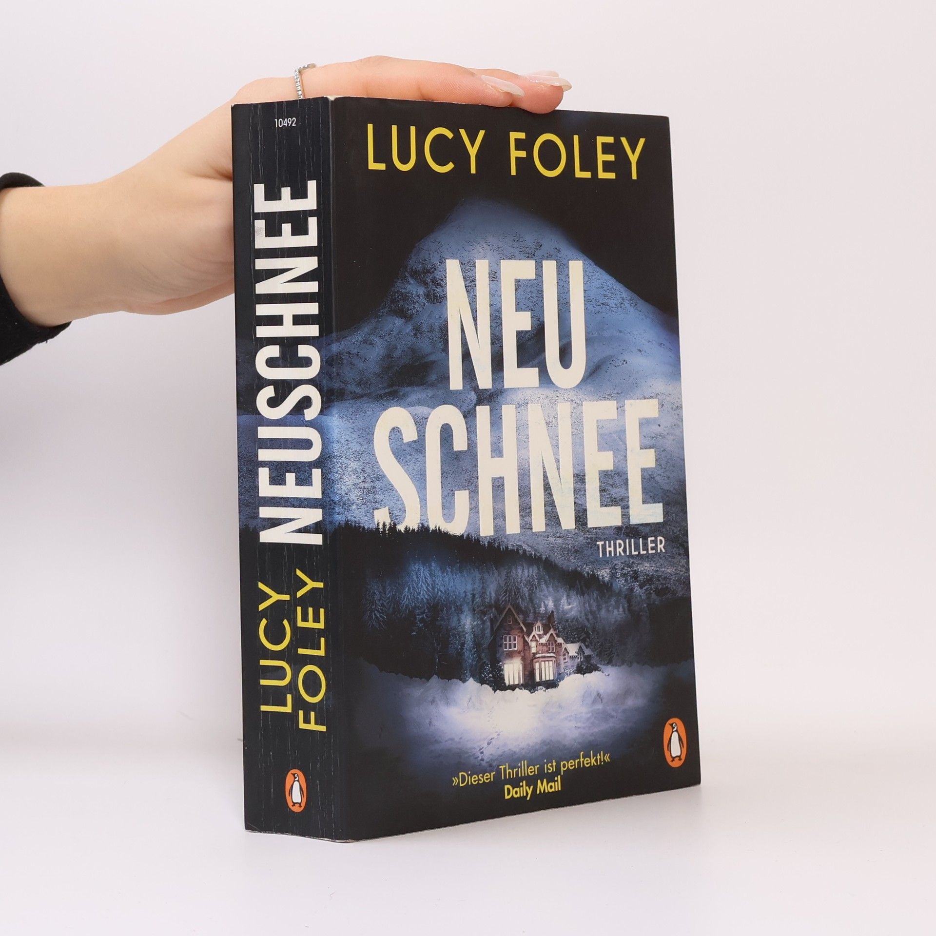 Lucy Foley Neuschnee