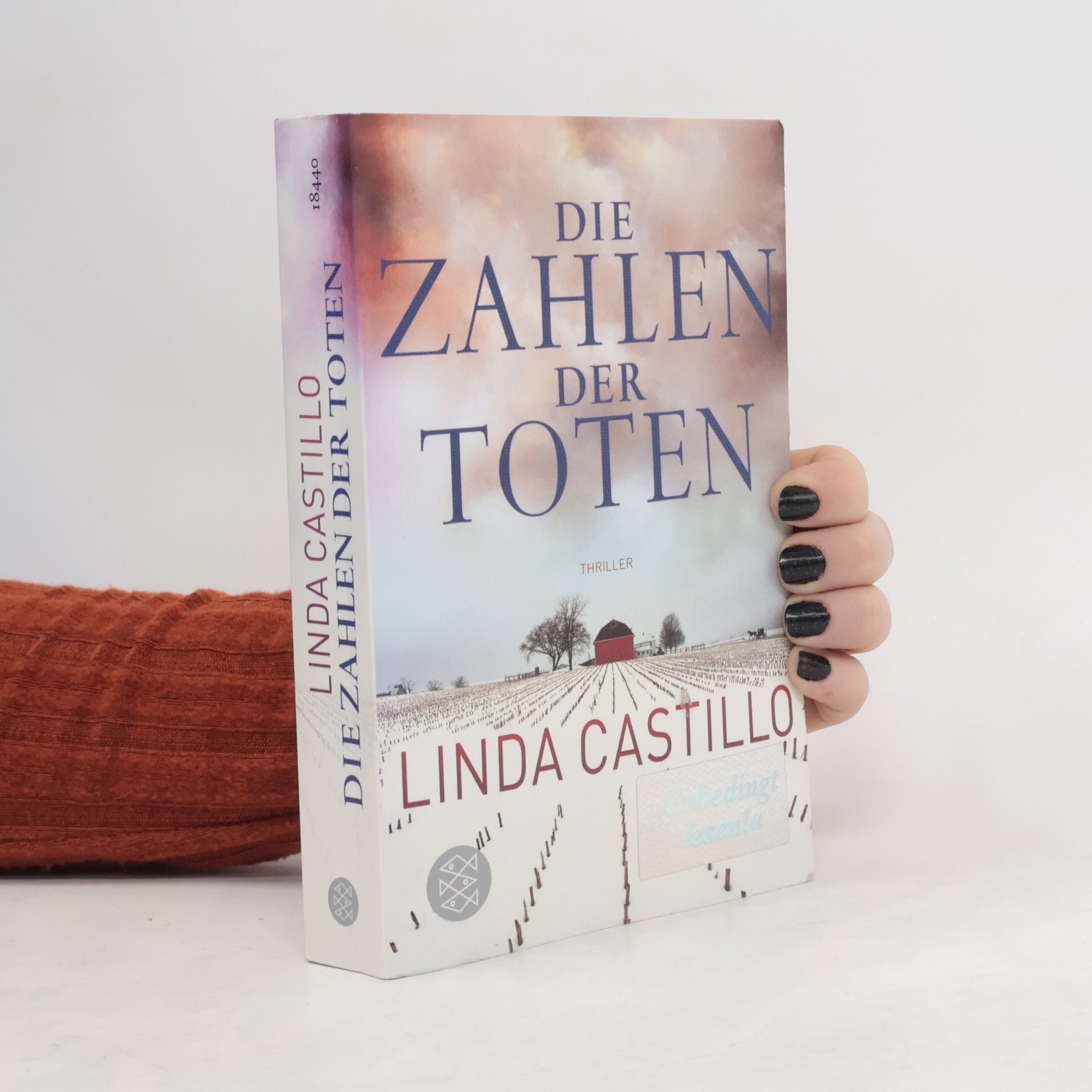 Linda Castillo Die Zahlen der Toten